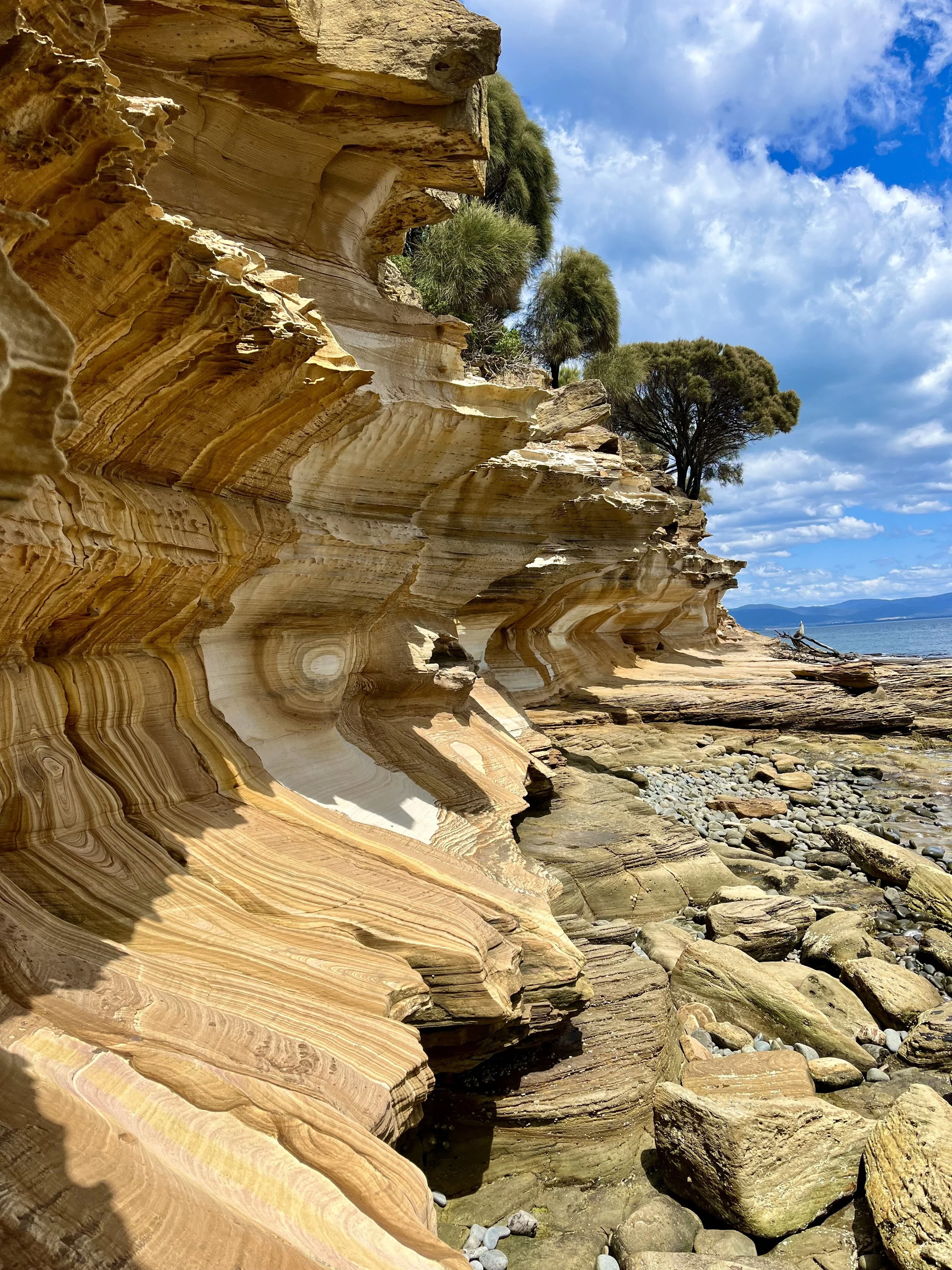 Layered sandstone cliffs with trees, cloudy sky, and rocky shore.