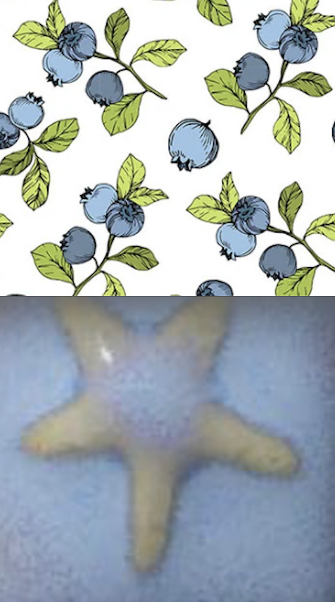 Screenshot 2026-05-11 at 11.21.39 AM.png
