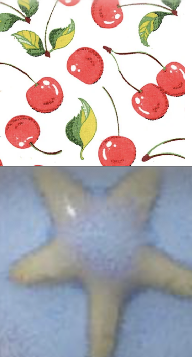 Screenshot 2026-05-11 at 11.21.24 AM.png