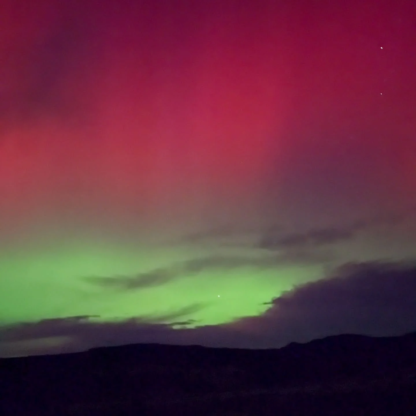 The beauty is breathtaking 🥰

Can anyone spot the hidden constellation ?