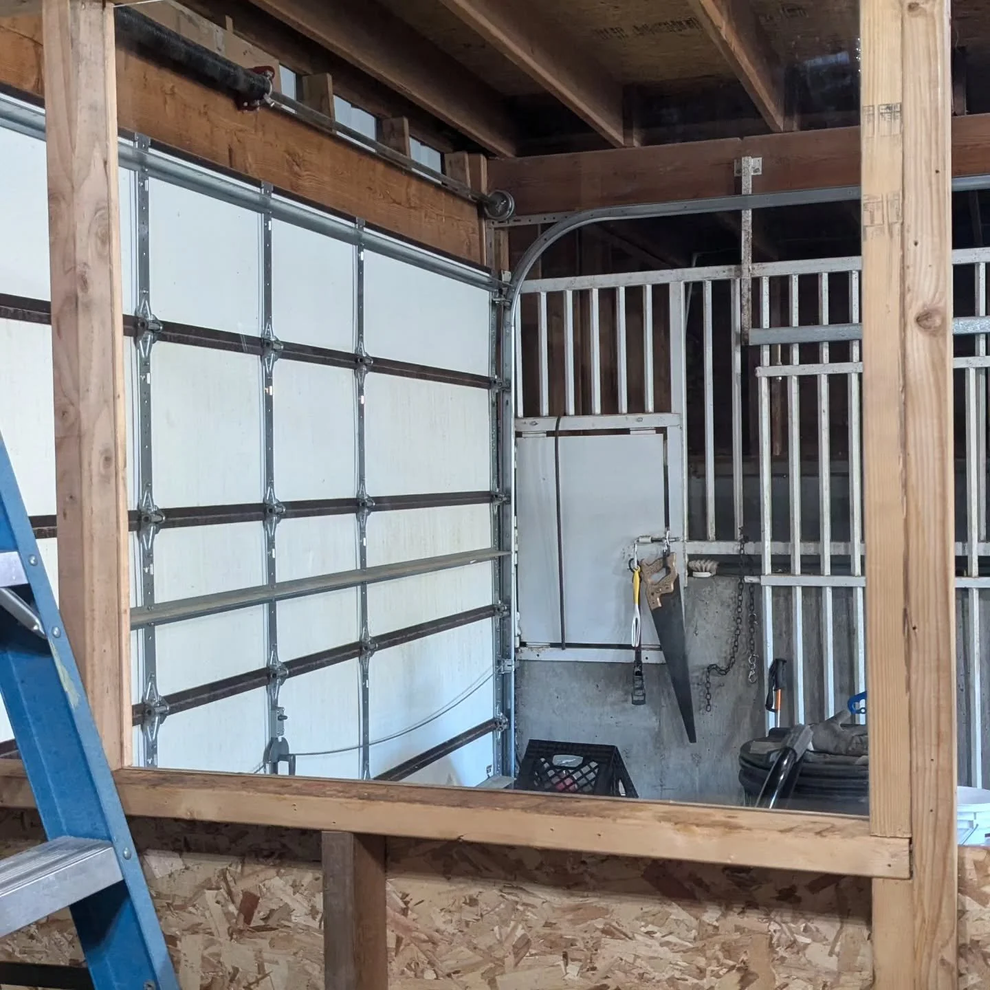 Things are underway! After several delays due to life and lack of daylight we are making progress on the tackroom remodel. 

The window has a fresh new look and has been cleaned,  we can now see out of it. Moved the light switches and reorganized. So