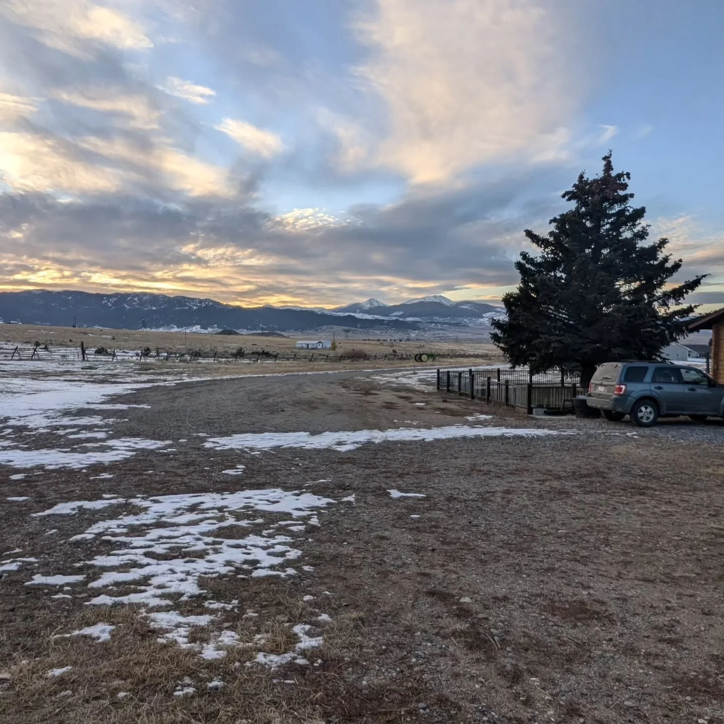 What a gorgeous New Year's Eve night! And new beginnings are just around the corner. Tyr is starting his weaning today, he is unfazed while Frejya is a nervous wreck. 

We all wish everyone a safe and HAPPY NEW YEAR. 2026 HERE WE COME!