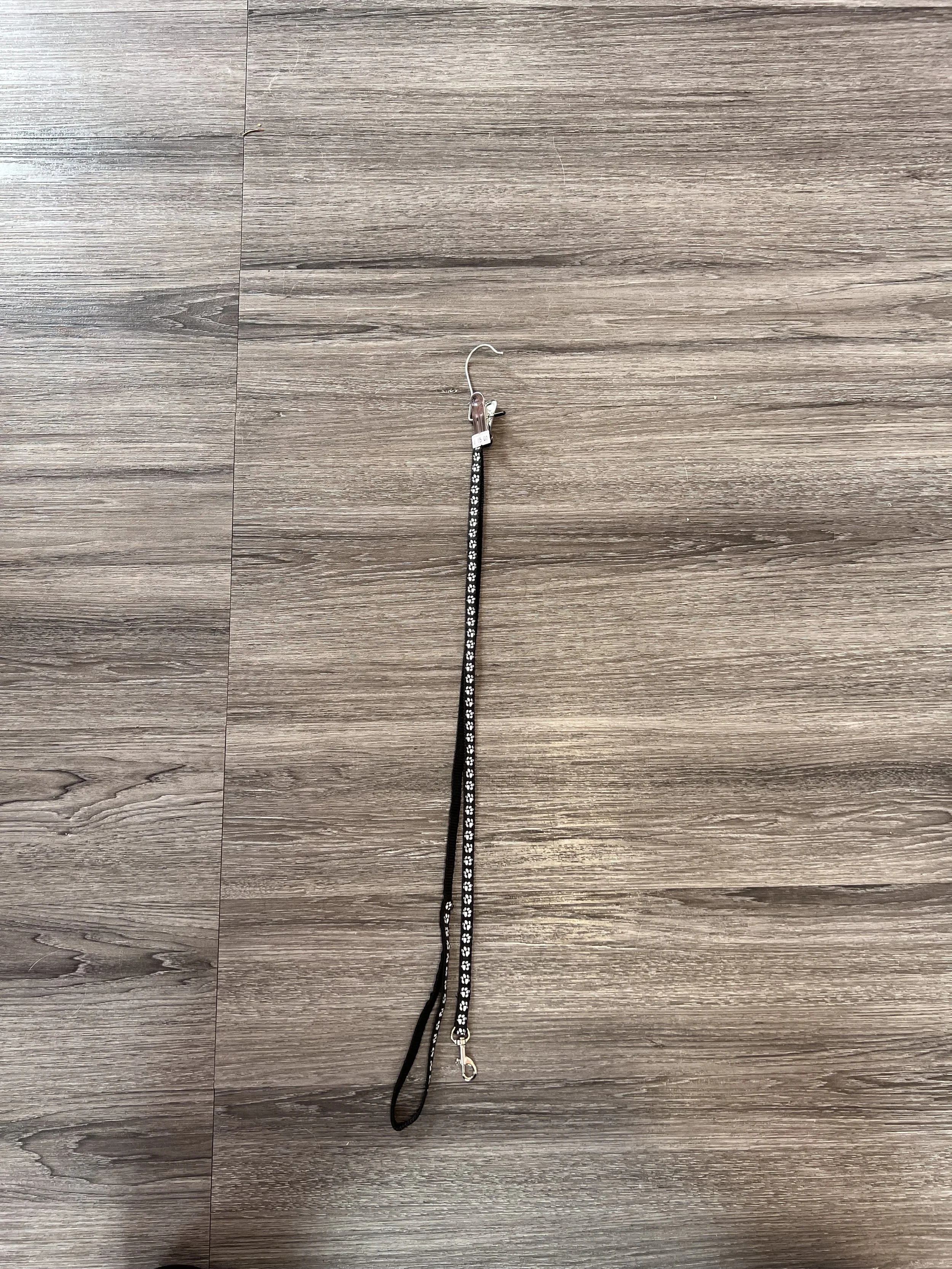 Puppy/cat lead