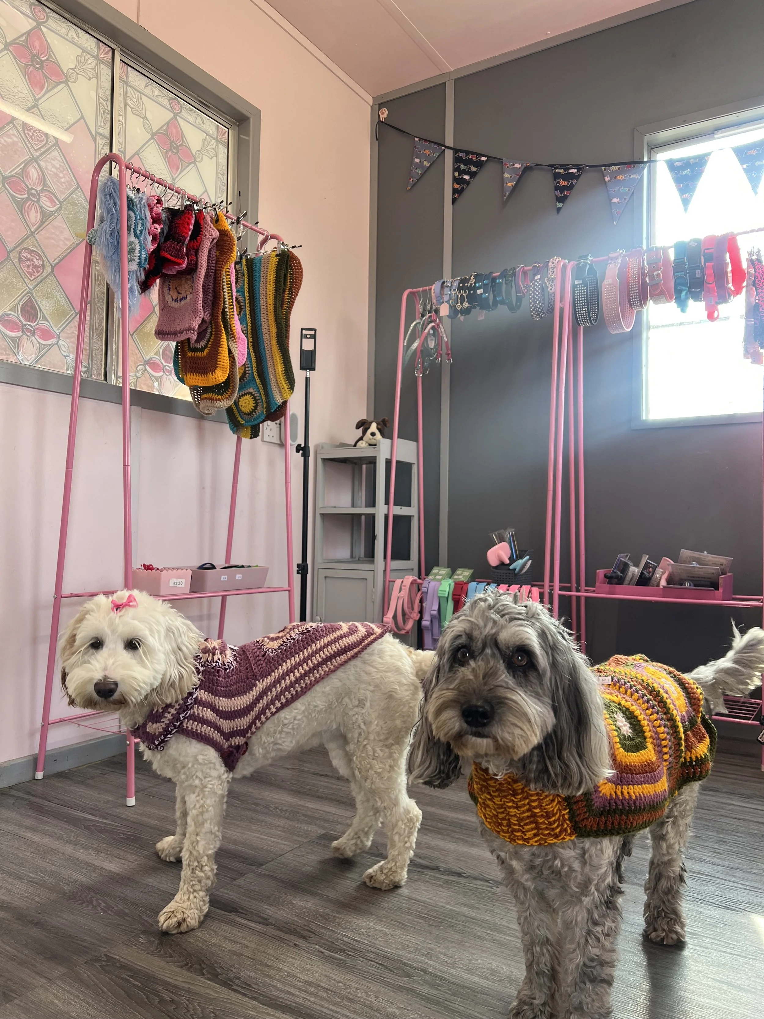Handmade dog jackets