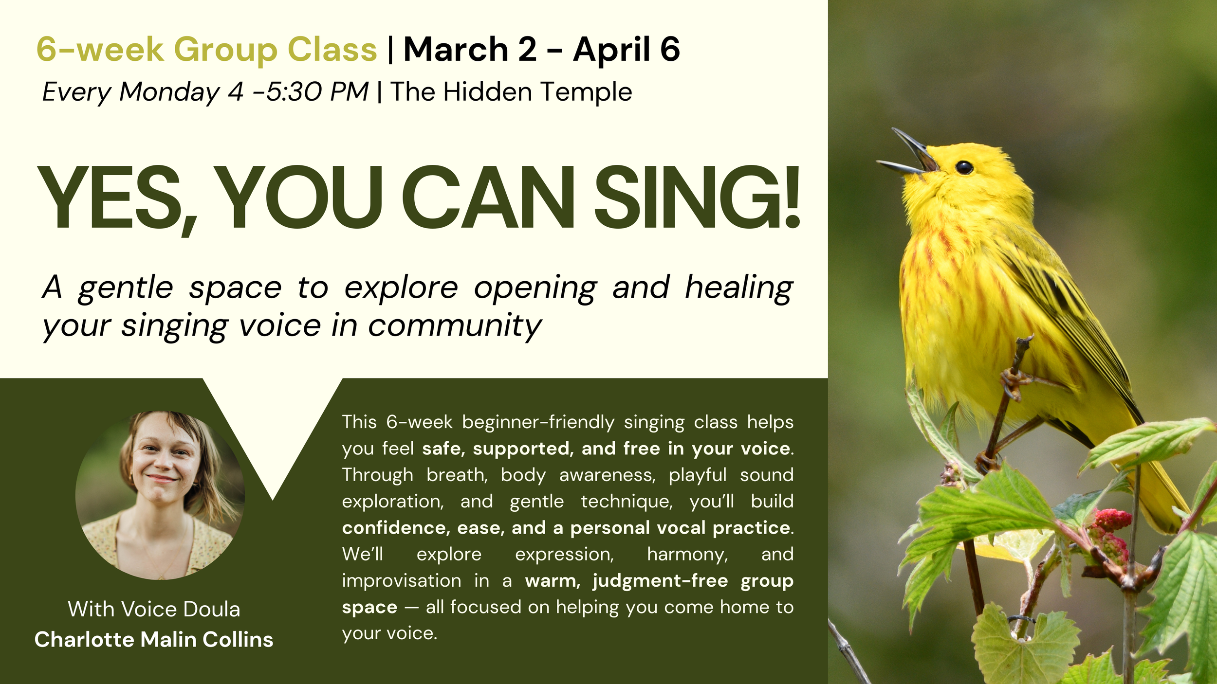 YES, YOU CAN SING: Beginner Vocal Freedom Group Class
