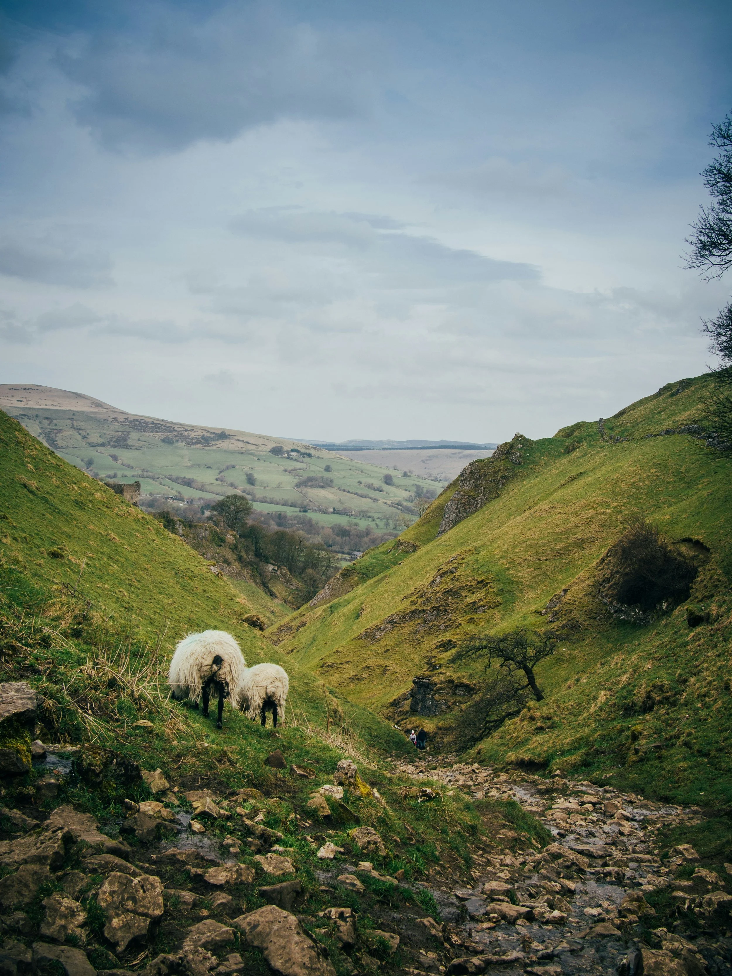 How to Start Property Sourcing: A Smarter Approach for Serious UK Investors