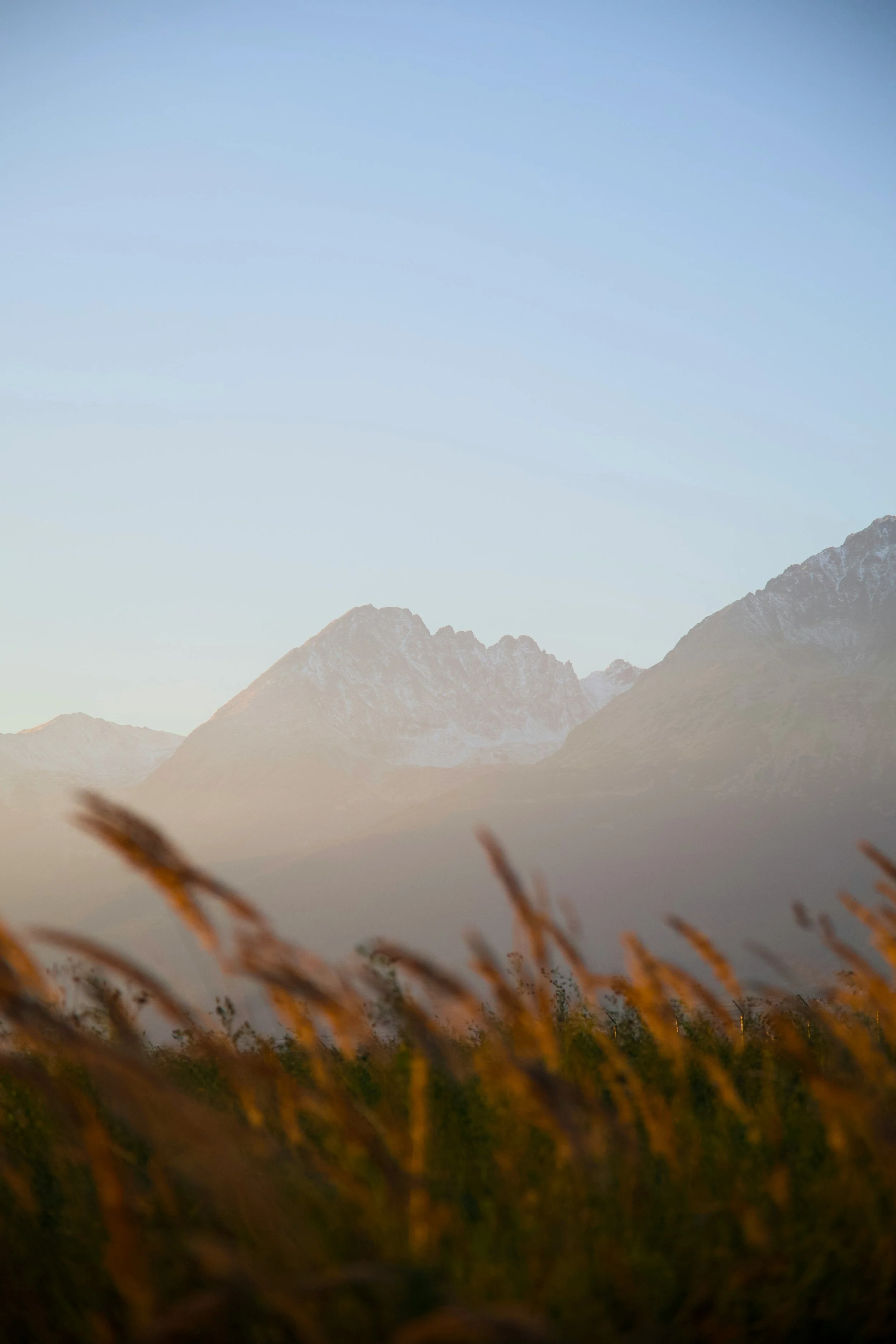 Understanding the UK Property Market in 2025: Key Insights for Smart Investors