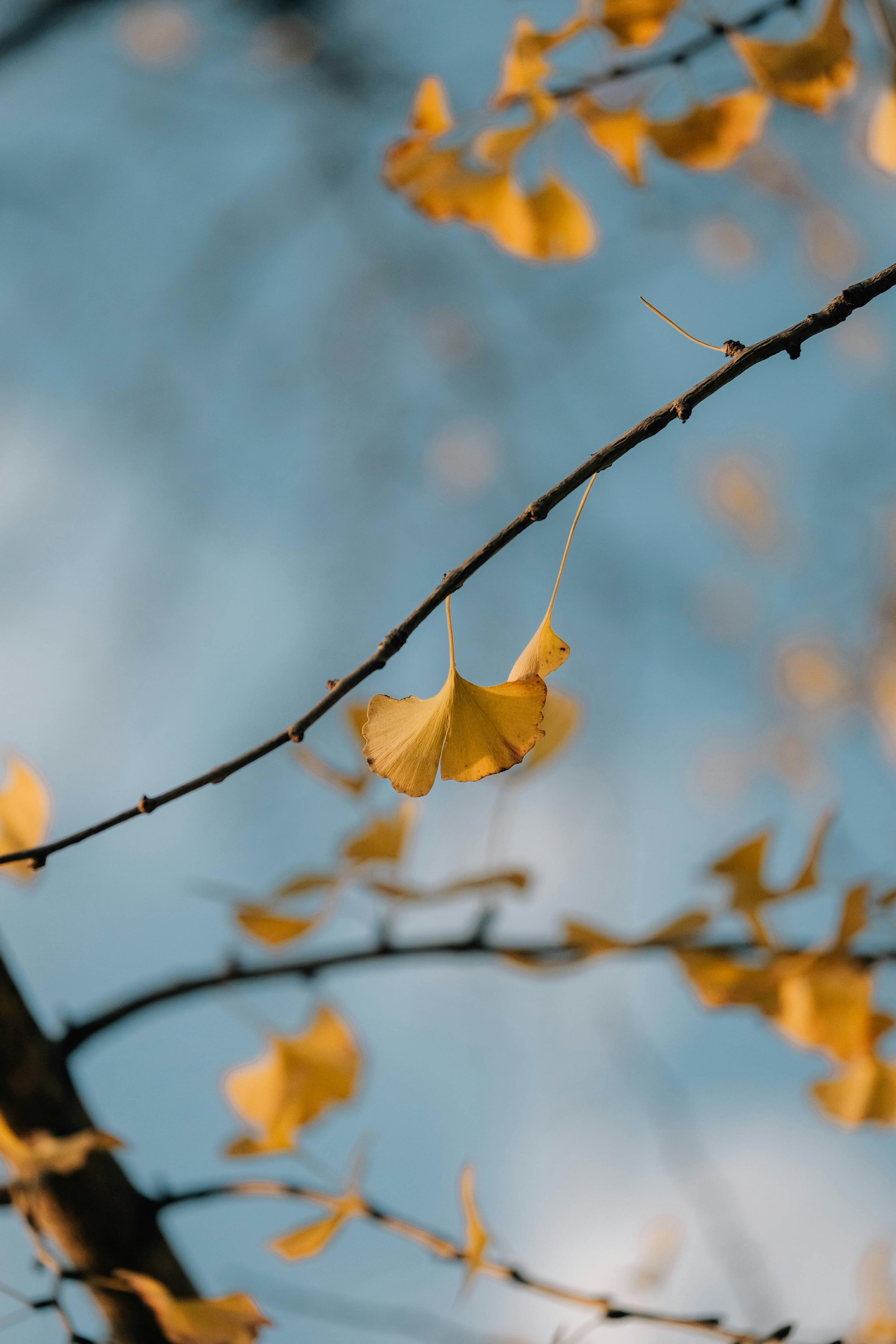 When Everyone’s Fearful, Institutions Go Shopping | Why Smart Investors Buy Property When Others Wait