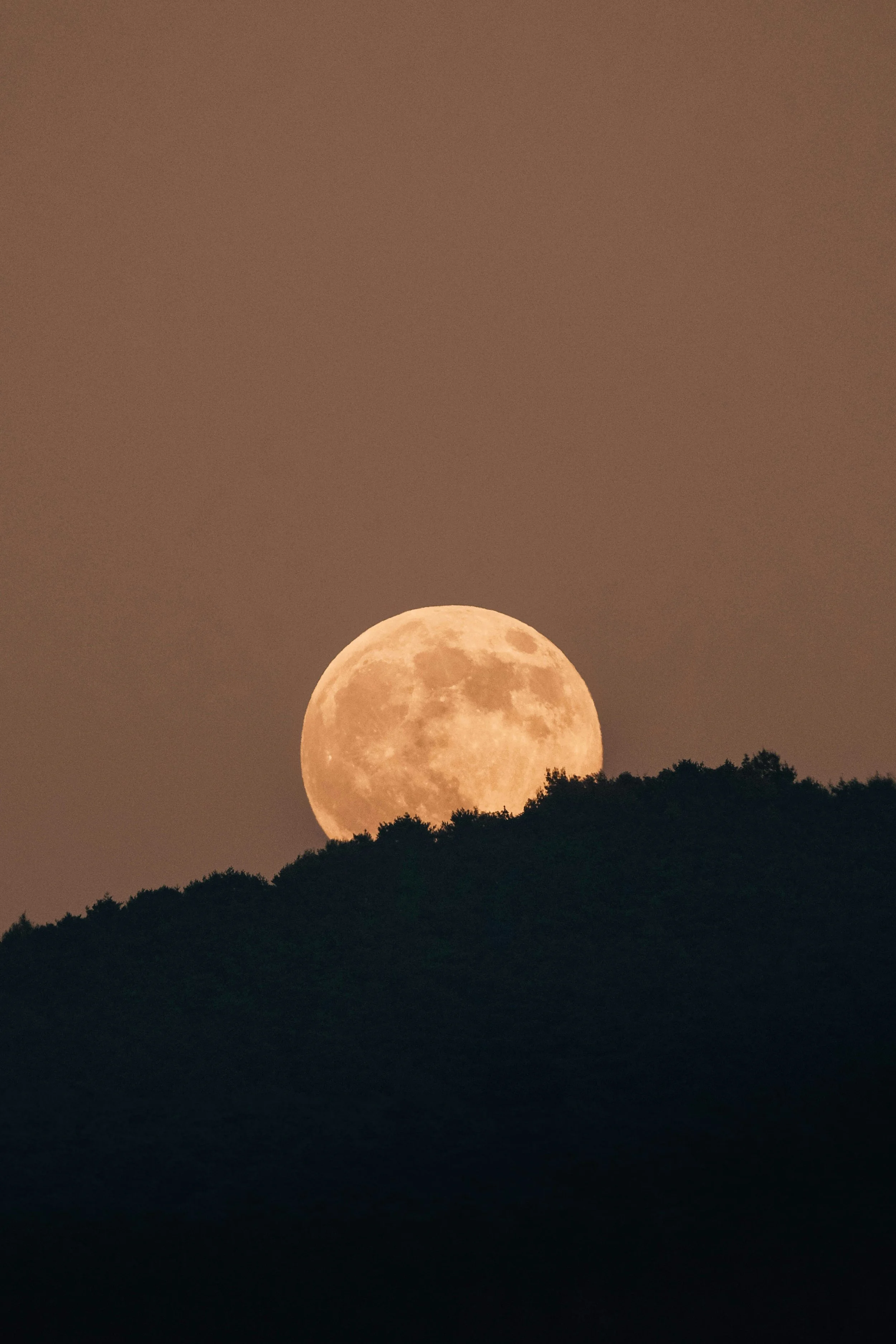 Why the Best Returns Come from Imperfect Markets | O Johnston &amp; Co Property Insights