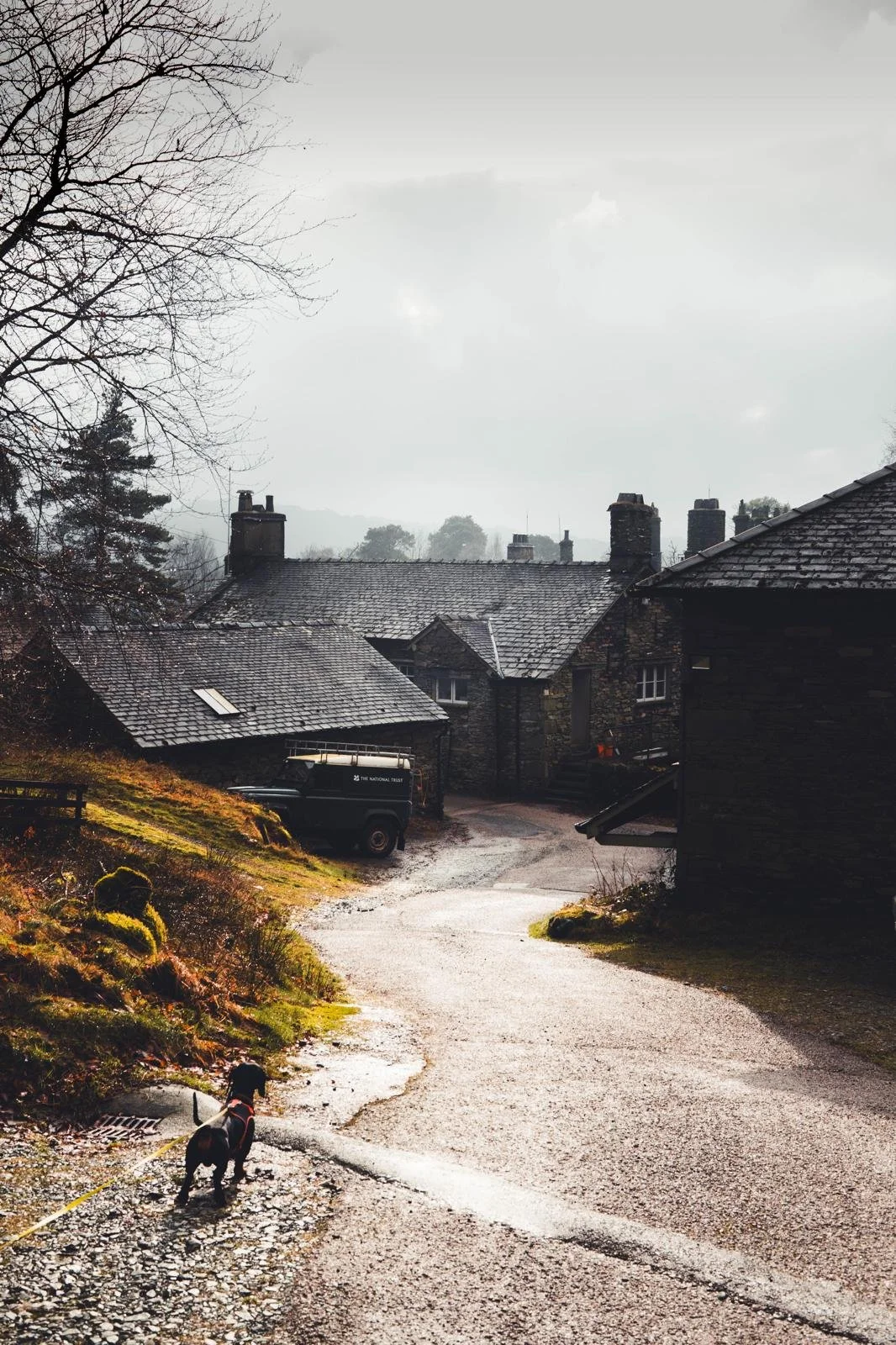 Why Our Investors Are Acting Now 