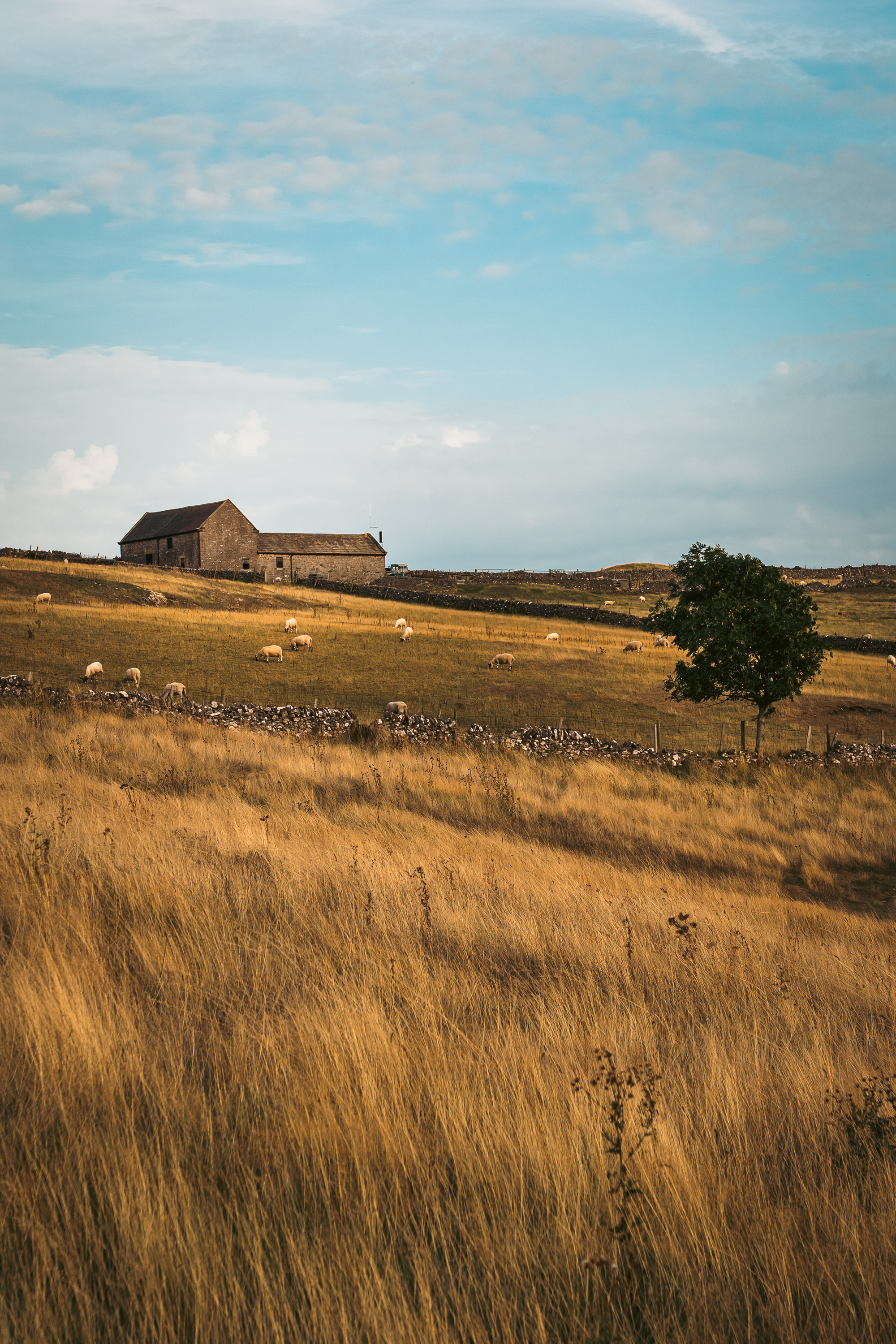 Why Property Developers Should Treat Visual Marketing as a Sales Tool, Not a Marketing Cost