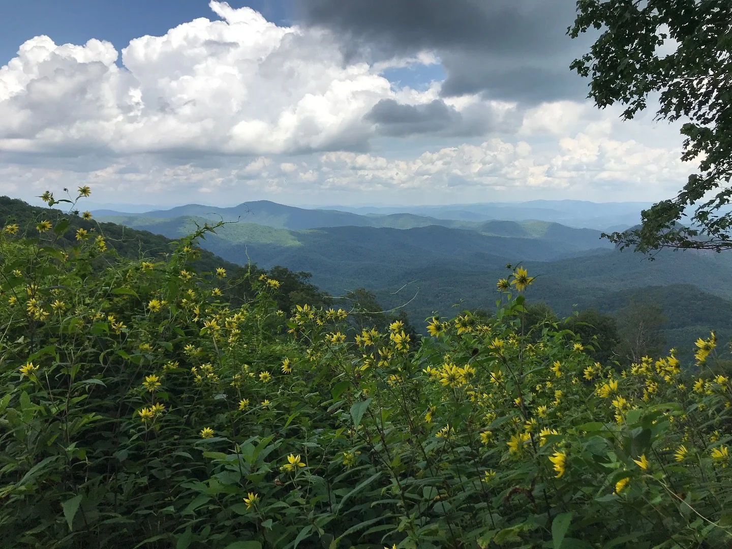 Looking back on this last year. One week before our wedding, the unimaginable happened. Hurricane Helene hit western North Carolina, and we woke up to damage we never expected to see. Growing up in the south, hurricanes were a familiar part of life, 