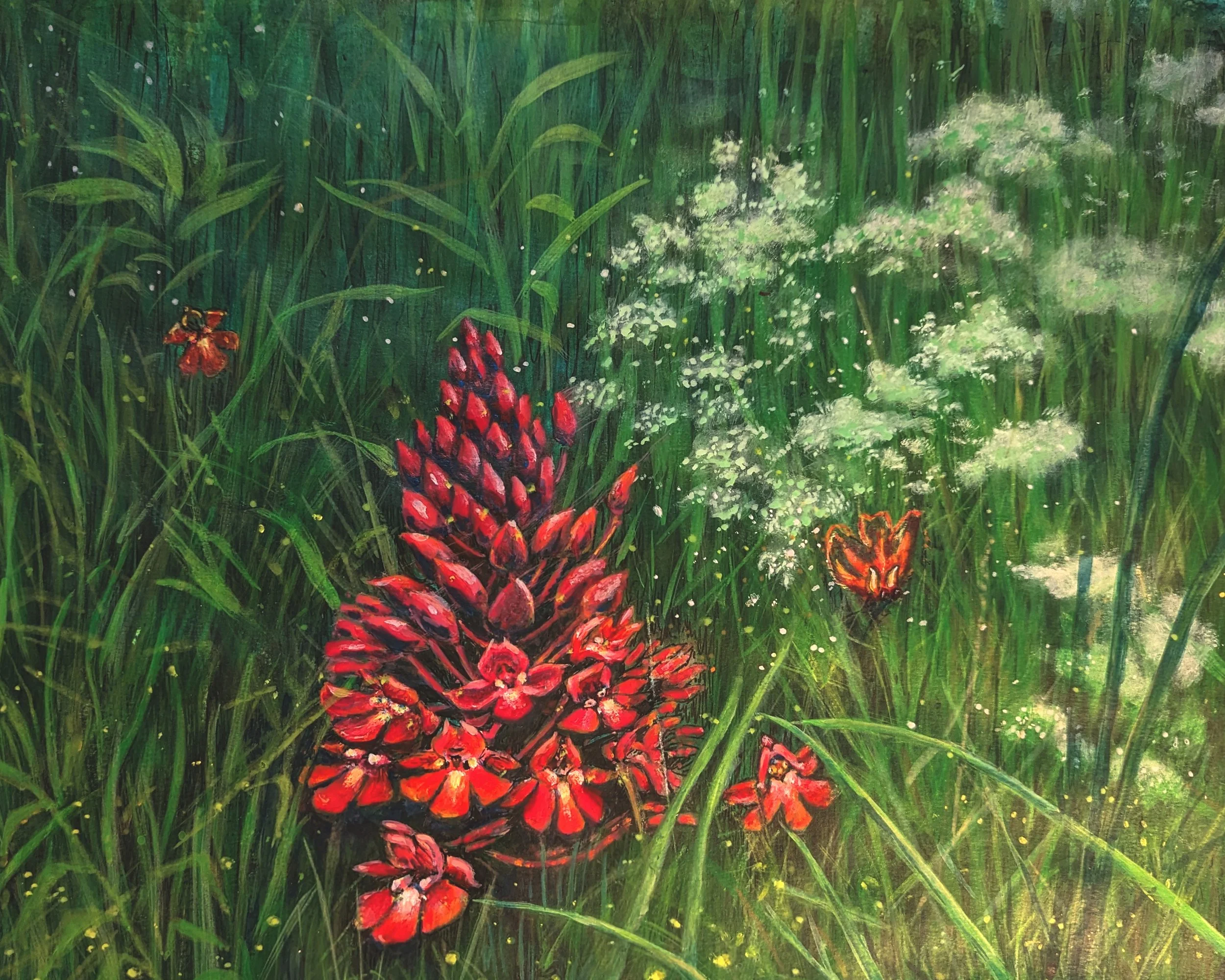 Illustration Orchis Pyramidale réalisée pour l'exposition immersive et itinérante. Partenaires : Office Français de la
Biodiversité (OFB), CPIE Bassin de Thau, association INKARTAD, Région Occitanie - peinture acrylique - 2023 