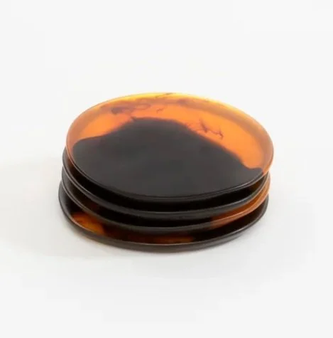 Dinosaur Designs | Boulder Coaster | $62.00 CAD