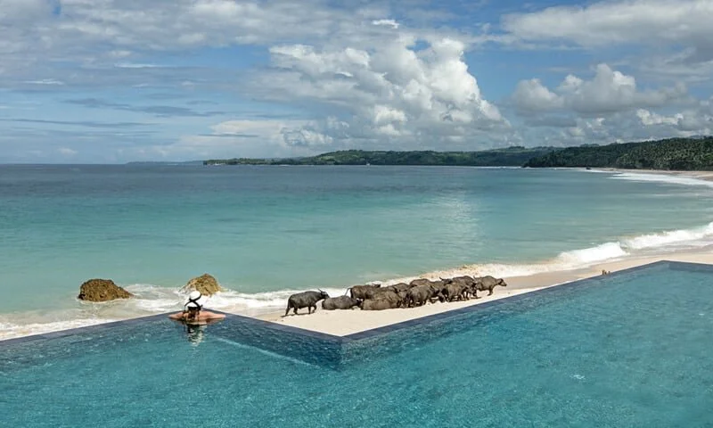 NihiBeachandPool.jpg