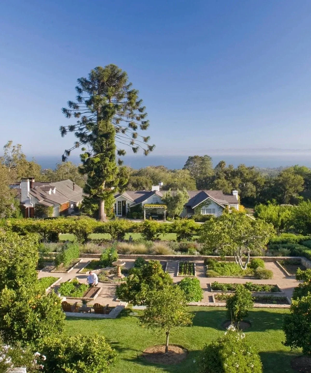 A lush garden with vegetable plots, trees, and seating areas, with houses and a large tree in the background, and a distant view of the ocean under a clear blue sky.