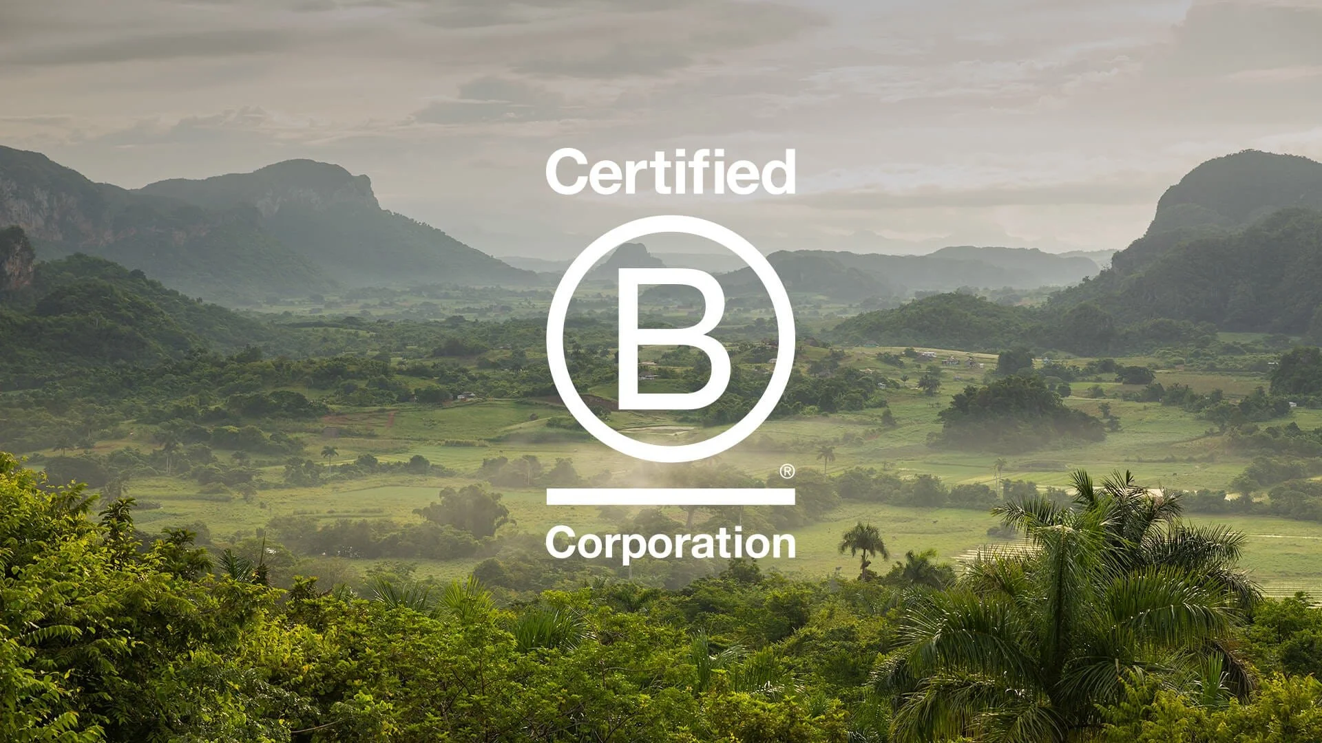 What B Corp Certification Actually Means — and Why It Matters More Than a Brand's Own Claims