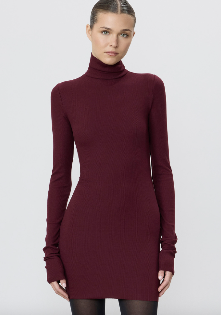 LONG SLEEVE TURTLENECK MINI DRESS | Oxblood | $276.00 CAD