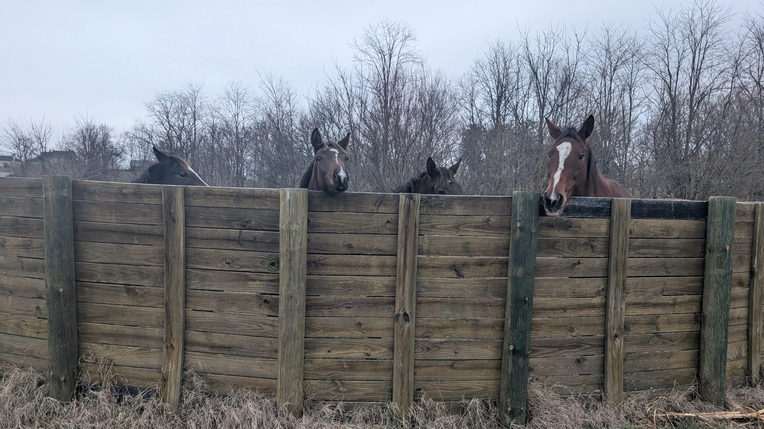 Weaning in Motion: From First Walk to First Turnout