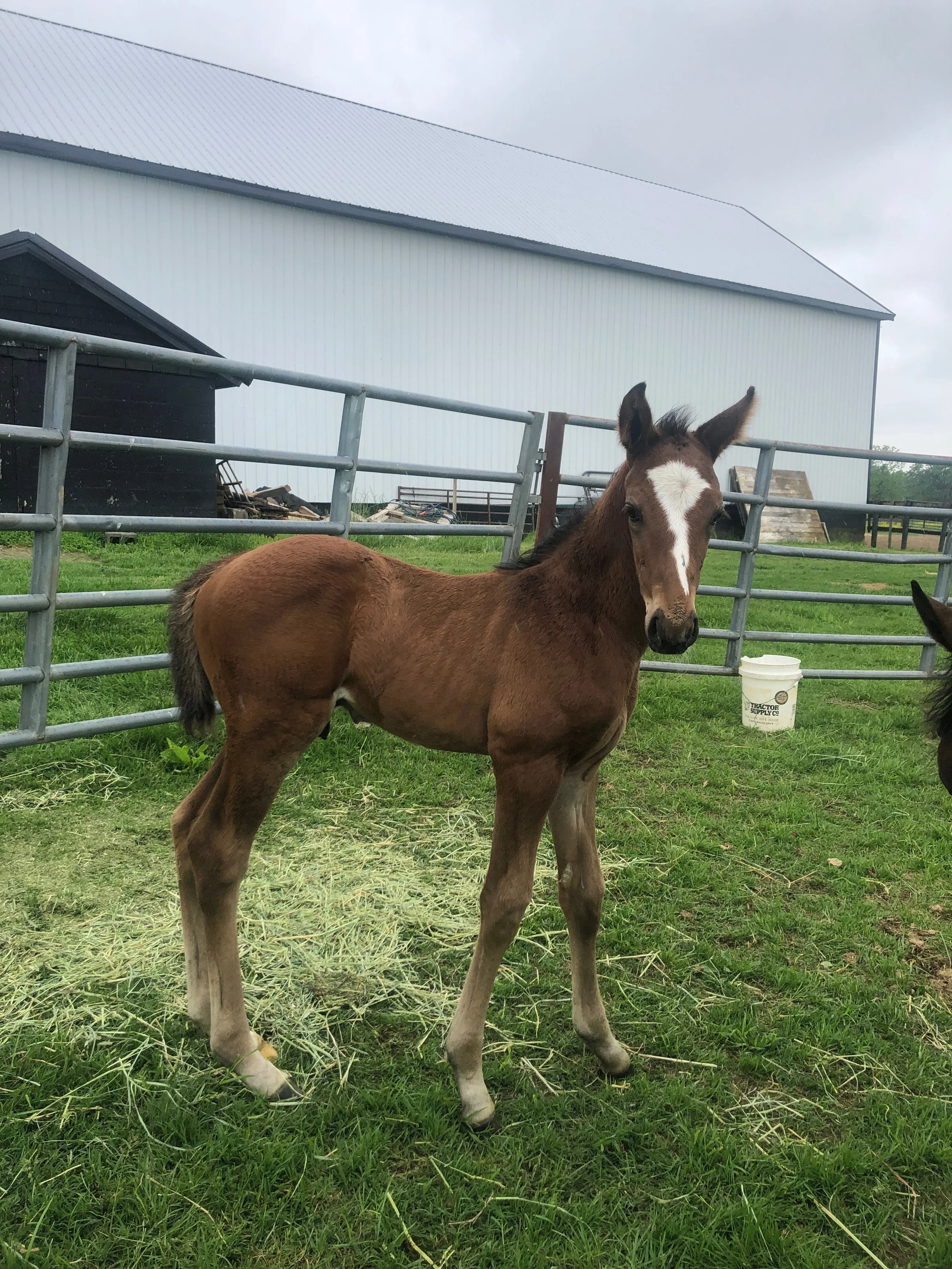 May 14, 2025 - about two weeks old