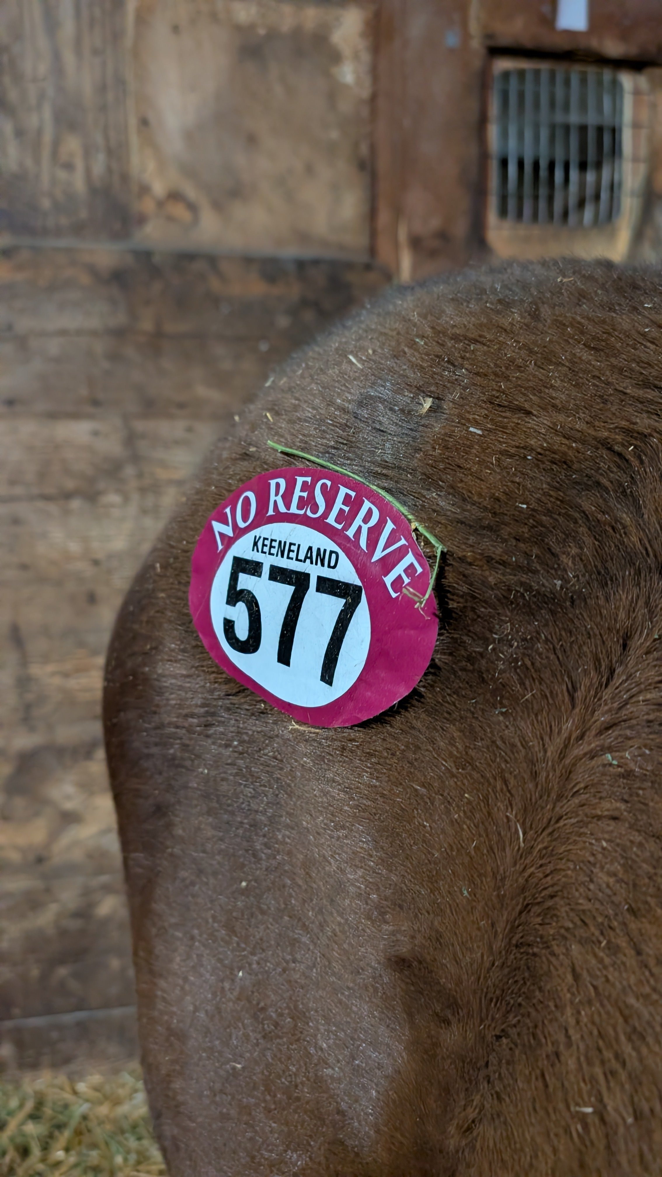 His hip sticker at the sale