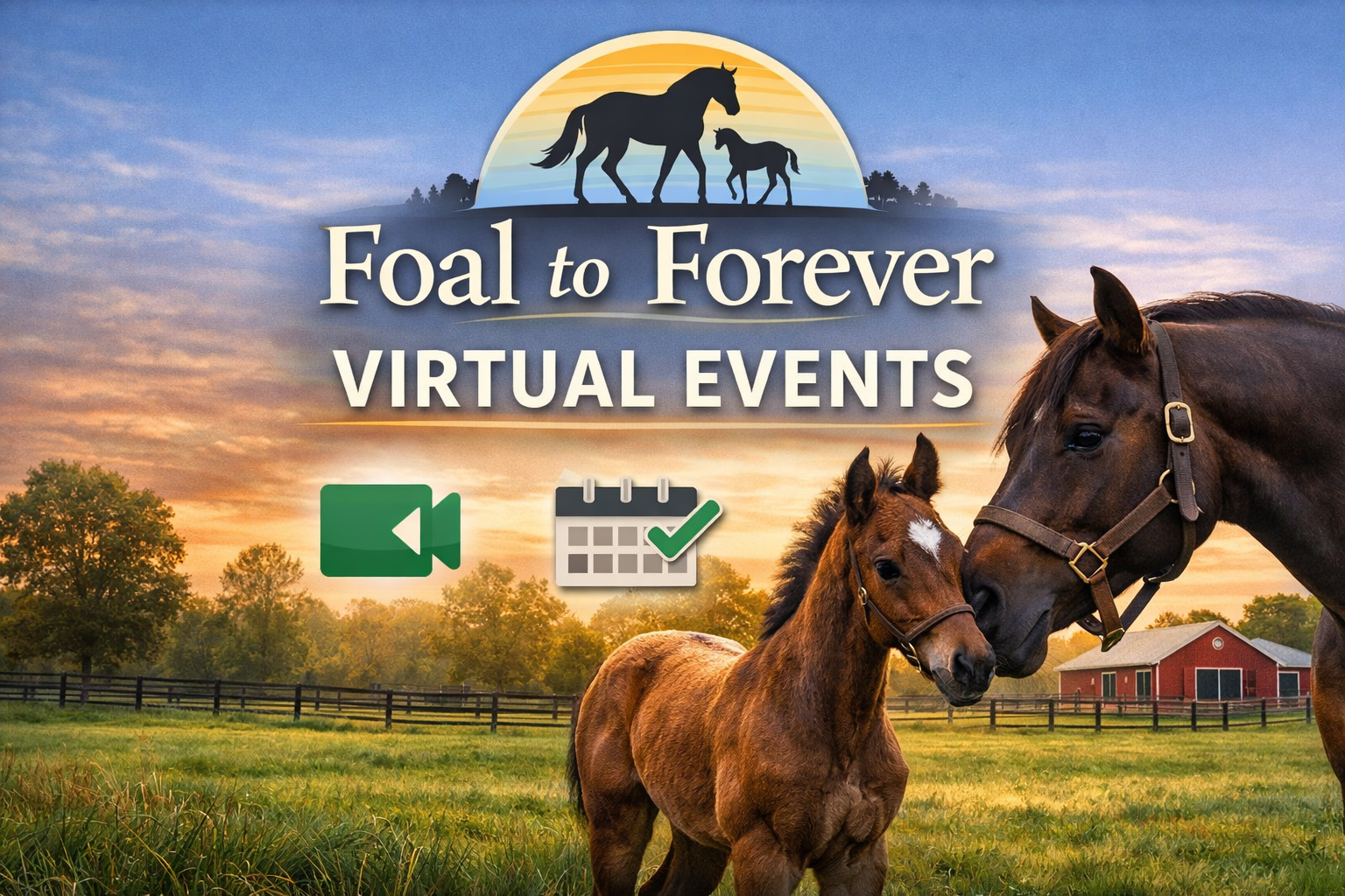 Foal to Forever Live Virtual Sponsor Updates Launch January 21