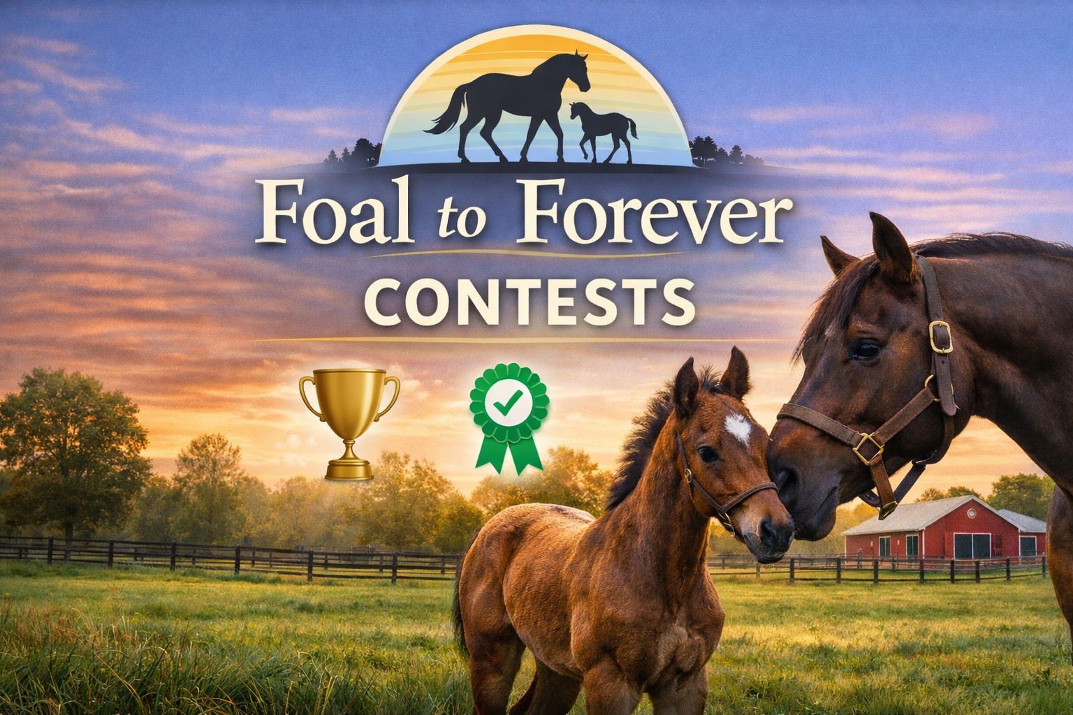 Help Name Our Newest Foal to Forever Class of 2025 Colt