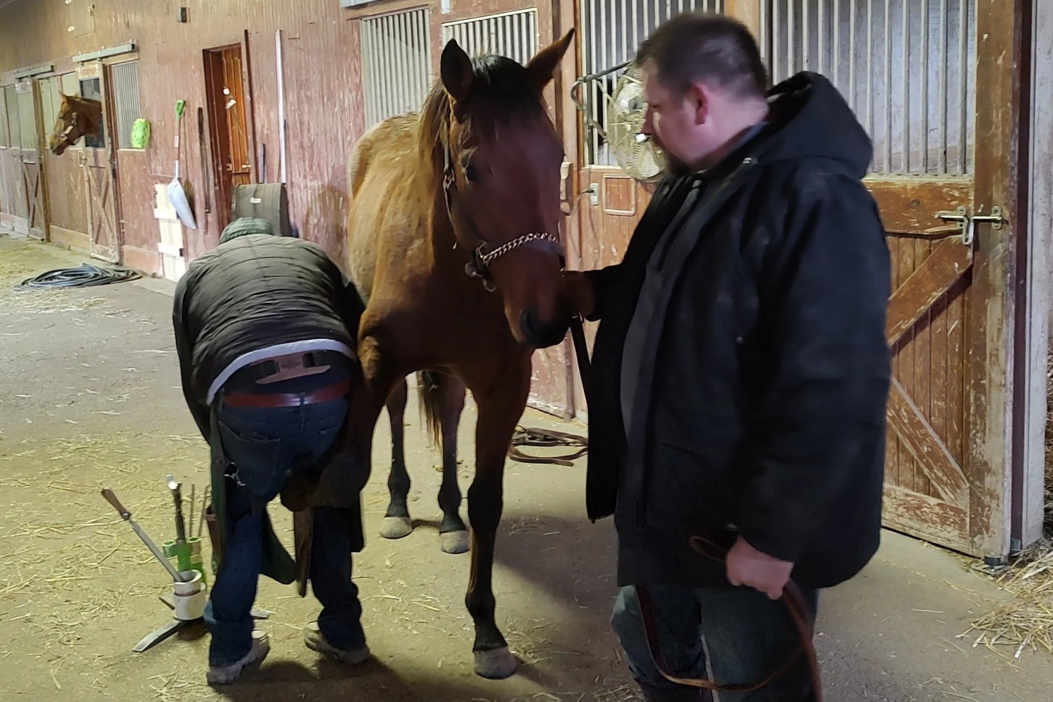 Farrier Day: One Last Trim Before Training