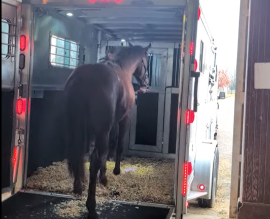 Training Begins: Paycasso and Caesar Reach a Major Milestone After a Start in the Hospital