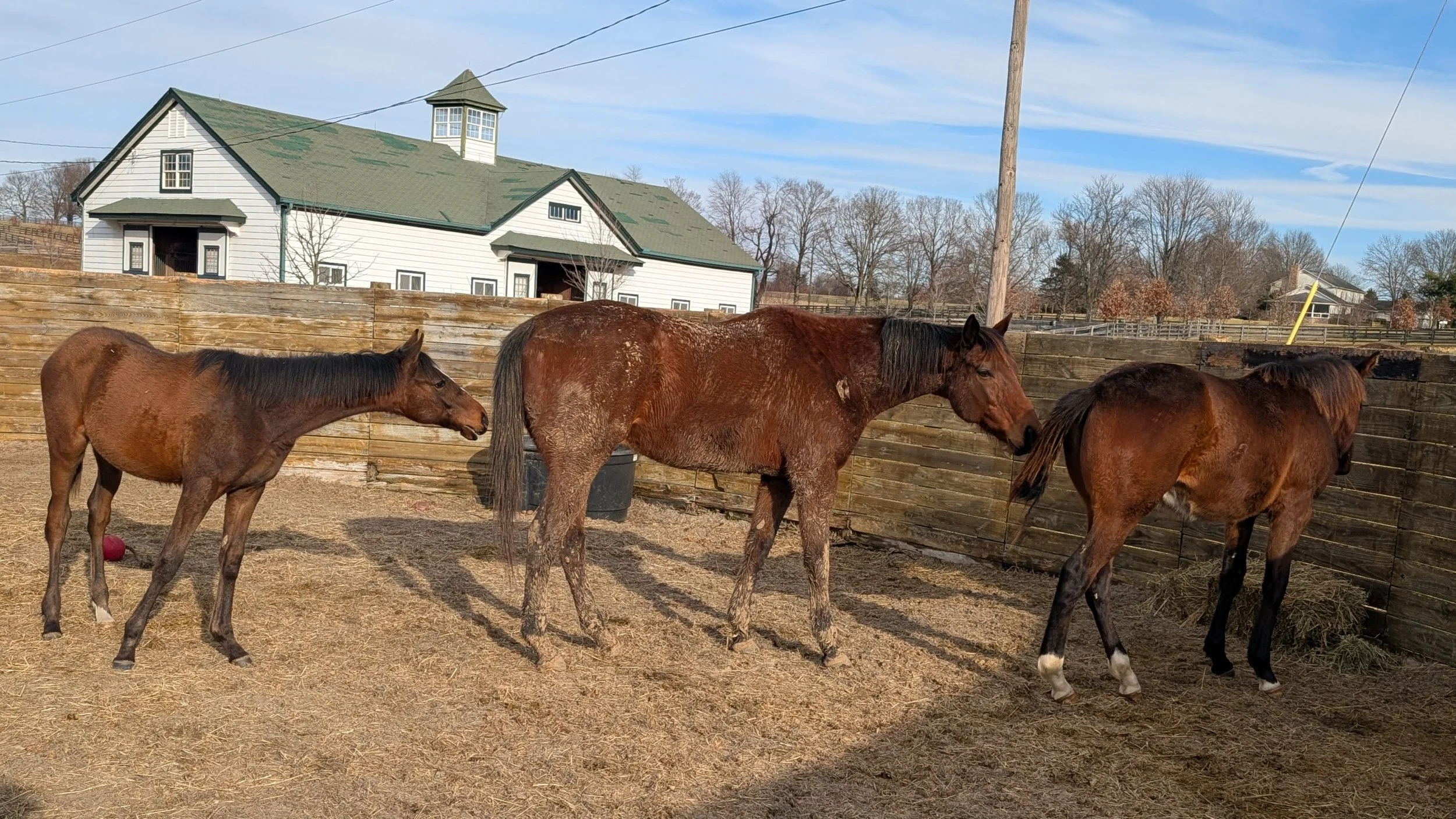 First Turnout Together: Van Meets Thirteen and CK