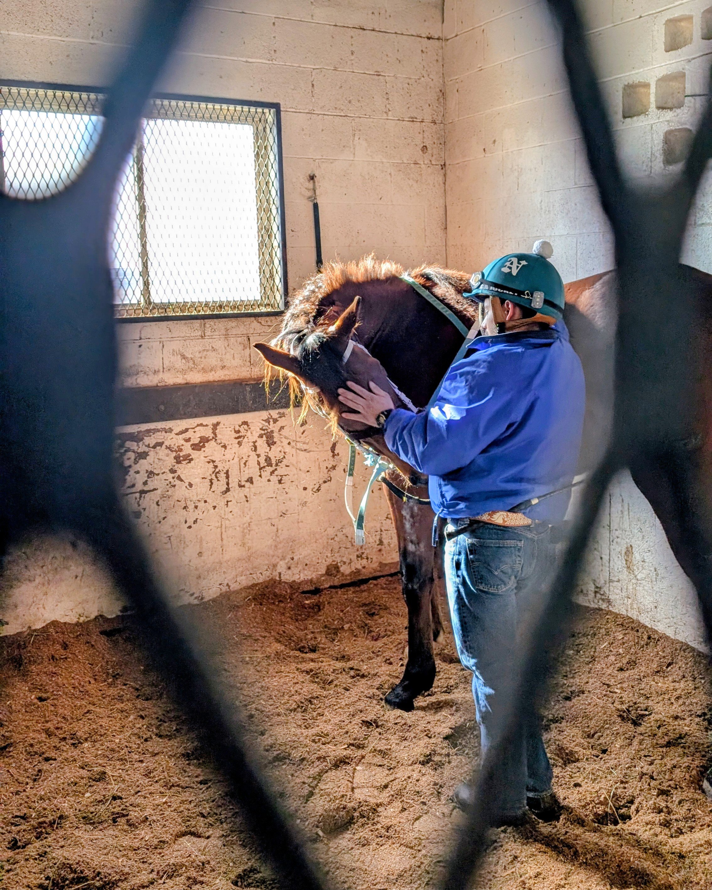 Paycasso and Caesar’s First Week in Racehorse Training: Foundation Before Speed