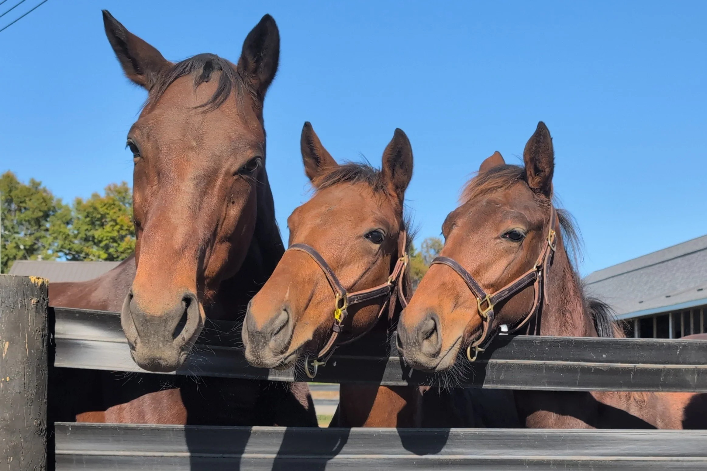 Van and the Class of 2024