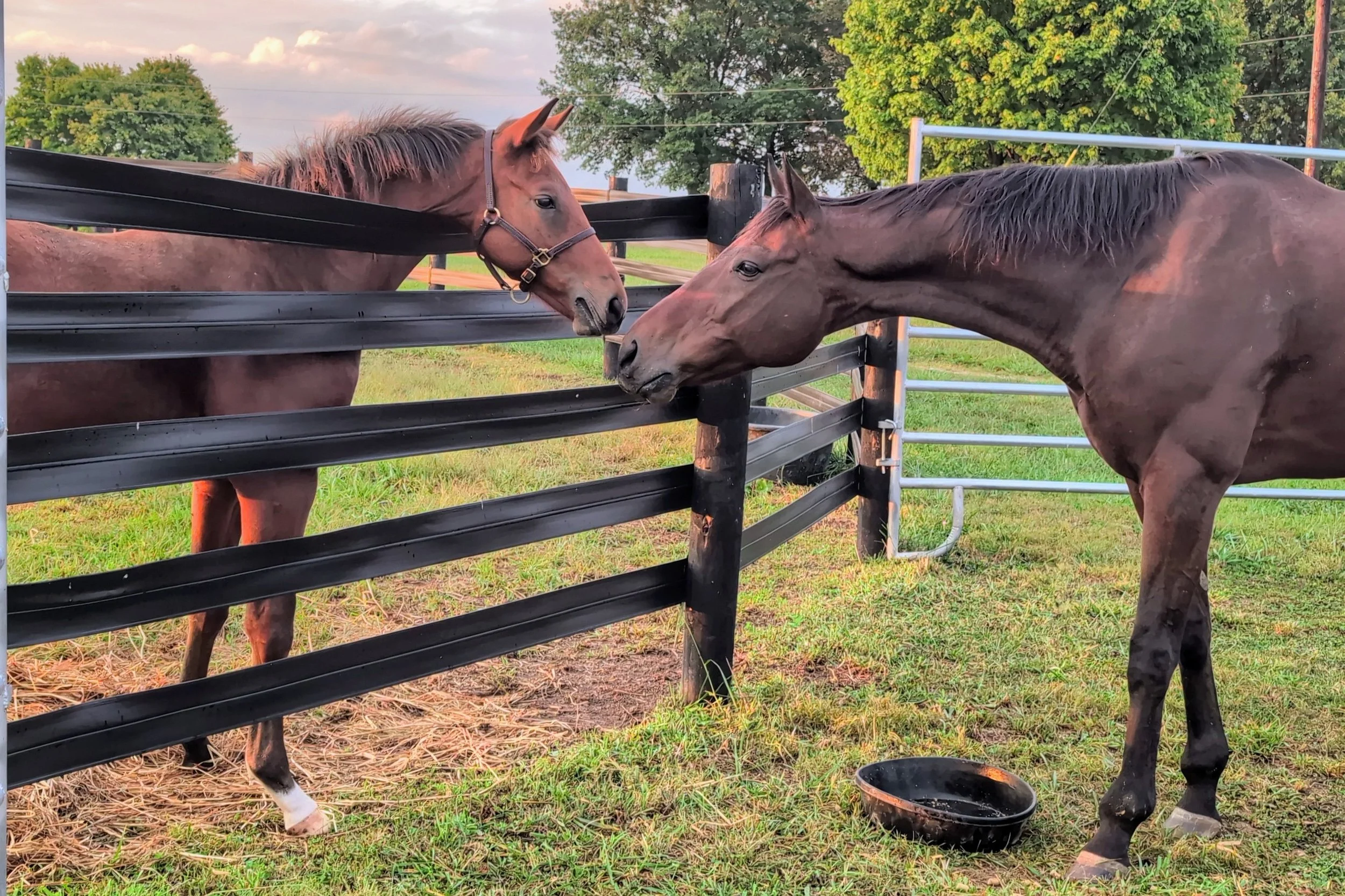 Van meeting Paycasso