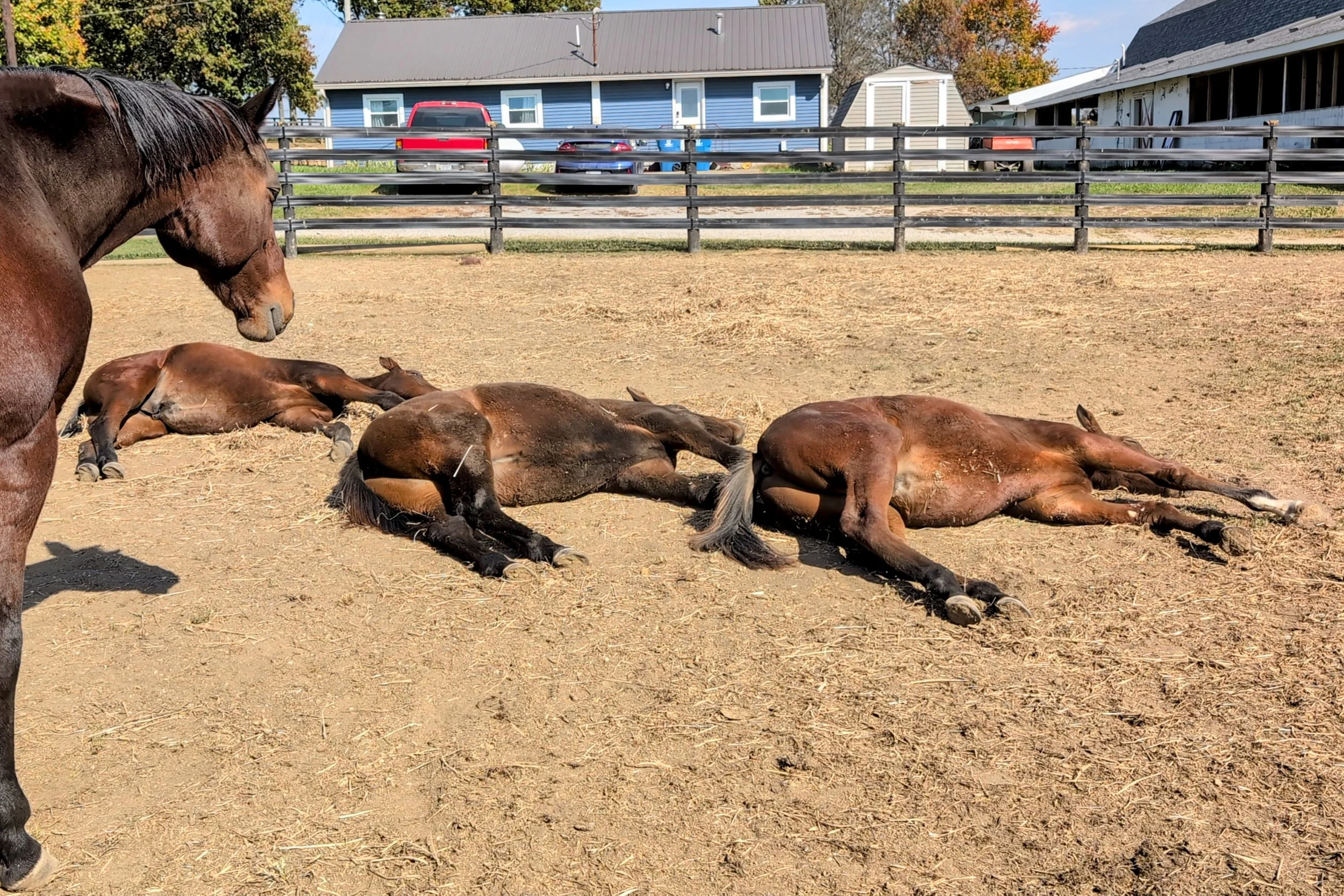 Van with the Class of 2024