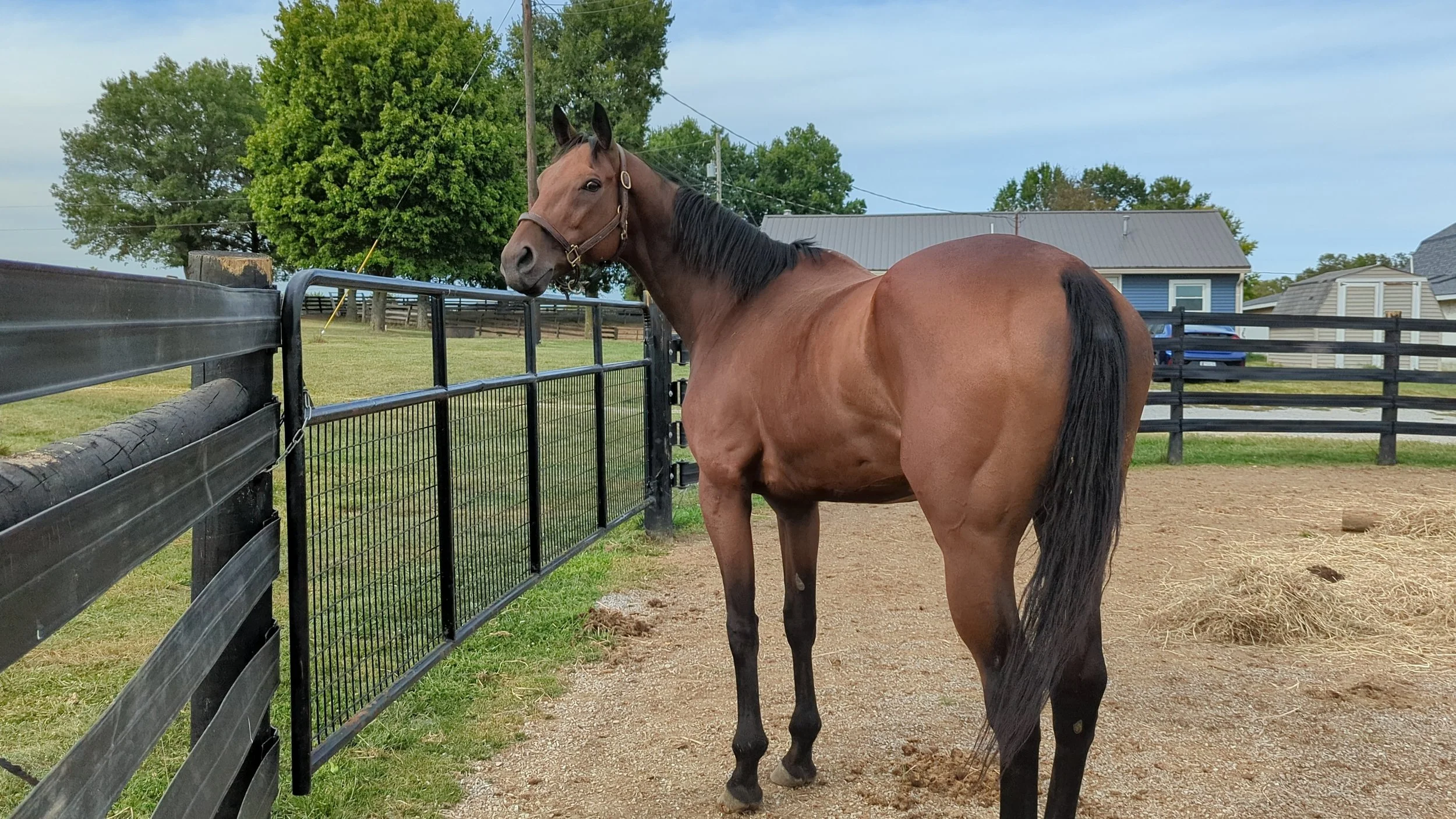 Van's first day in Kentucky