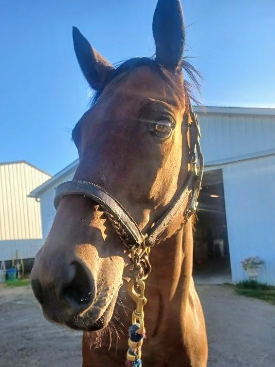 Van in Michigan Sept 2024