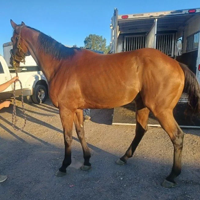 Van leaving Michigan Sept 2024