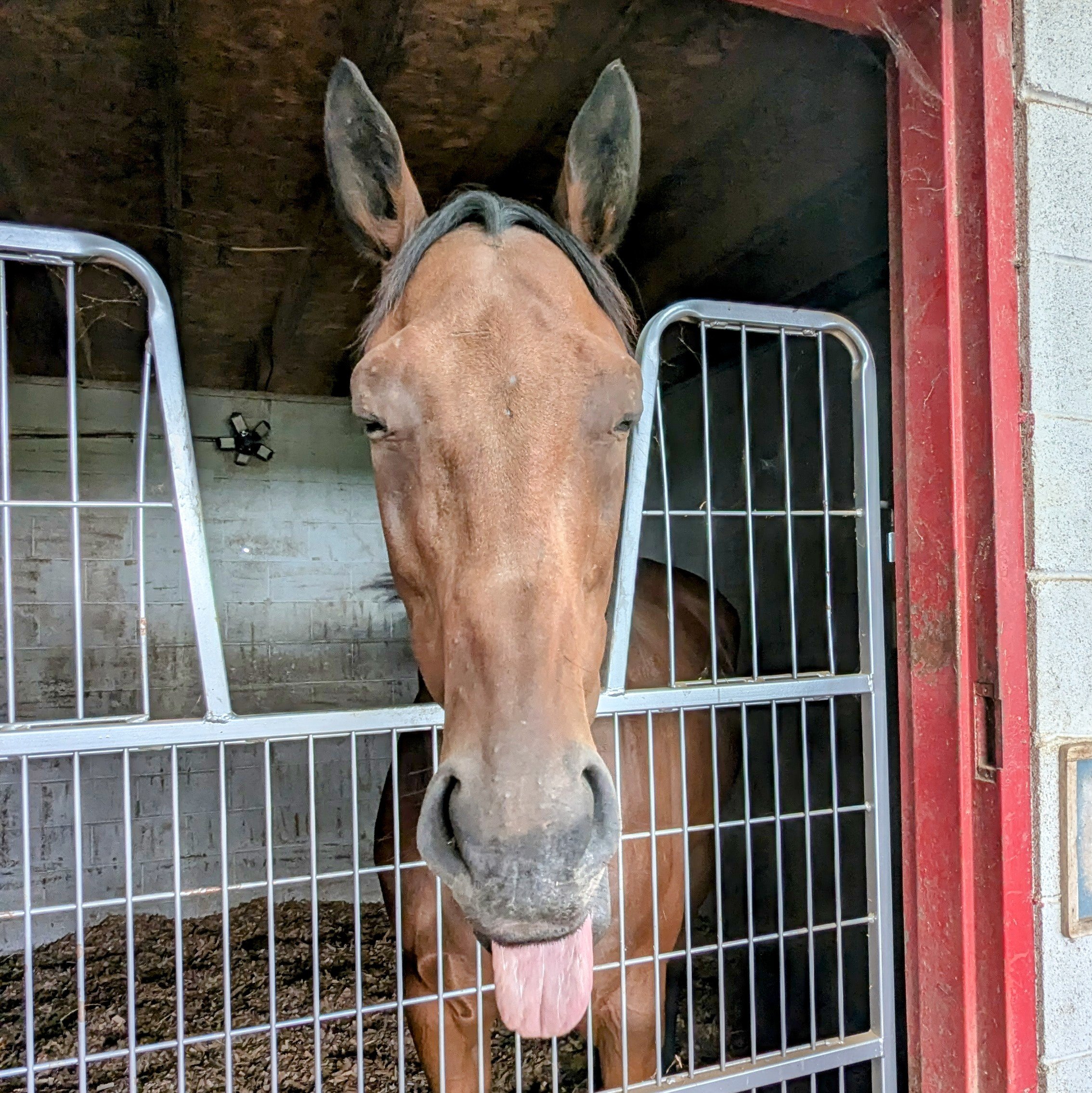 Van's first day in Kentucky