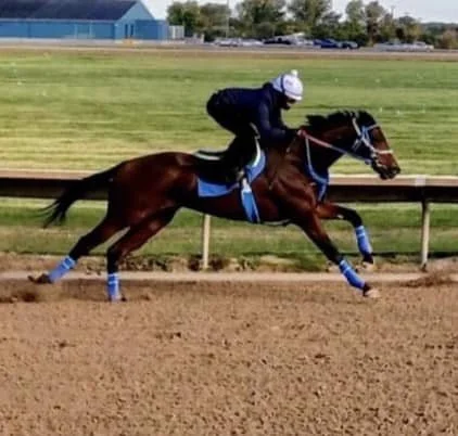 Pictures from Van's racing connections