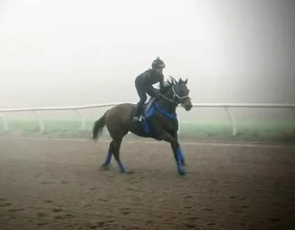 Pictures from Van's racing connections