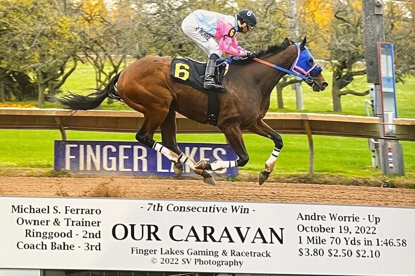 Meet Our Caravan (Van)