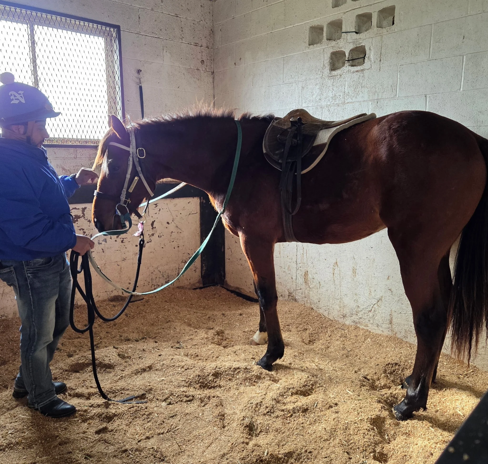 First Saddles. No Drama, Just Calm Progress