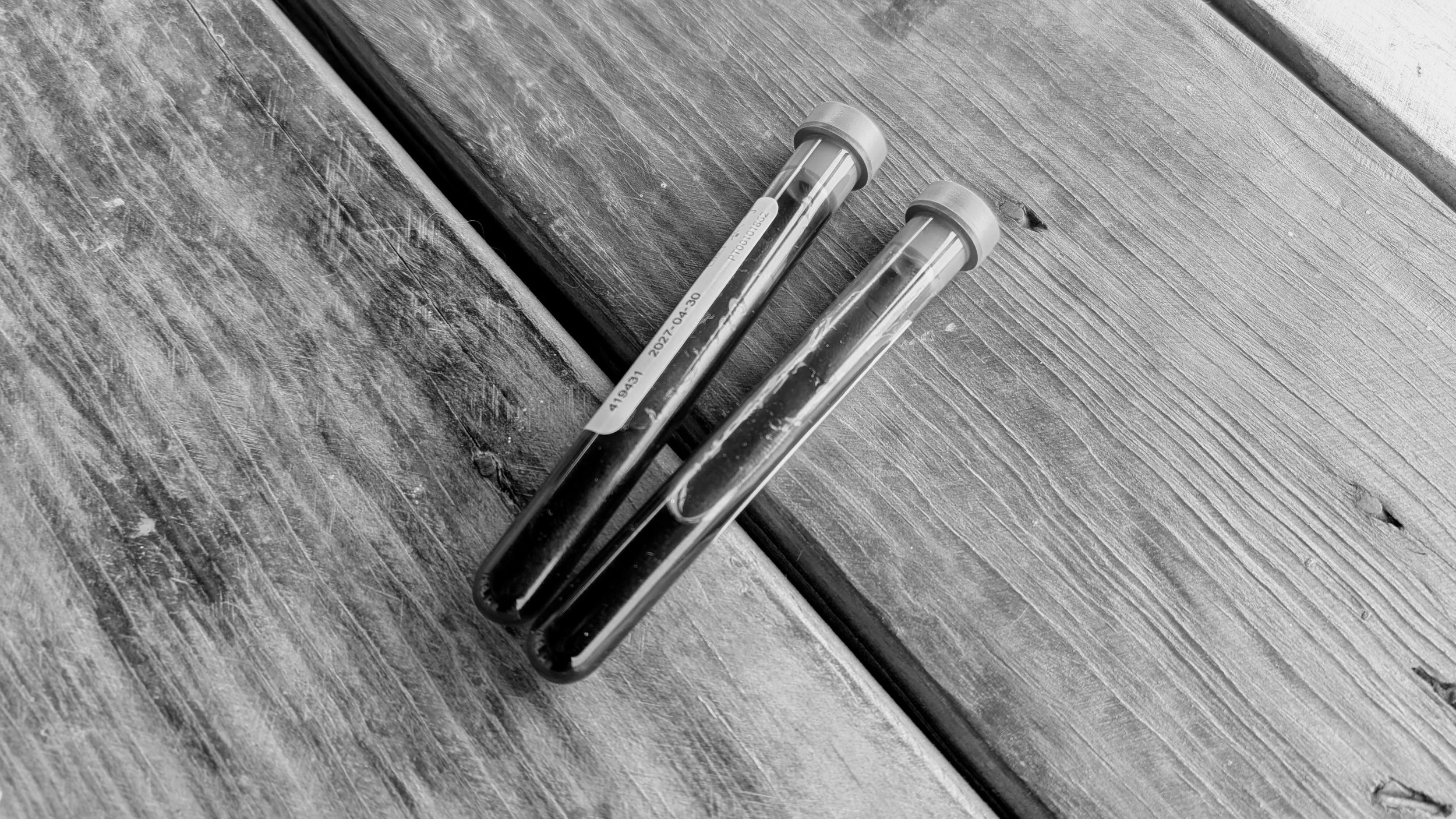 Late-Gestation Hormone Testing: What the Numbers Really Mean