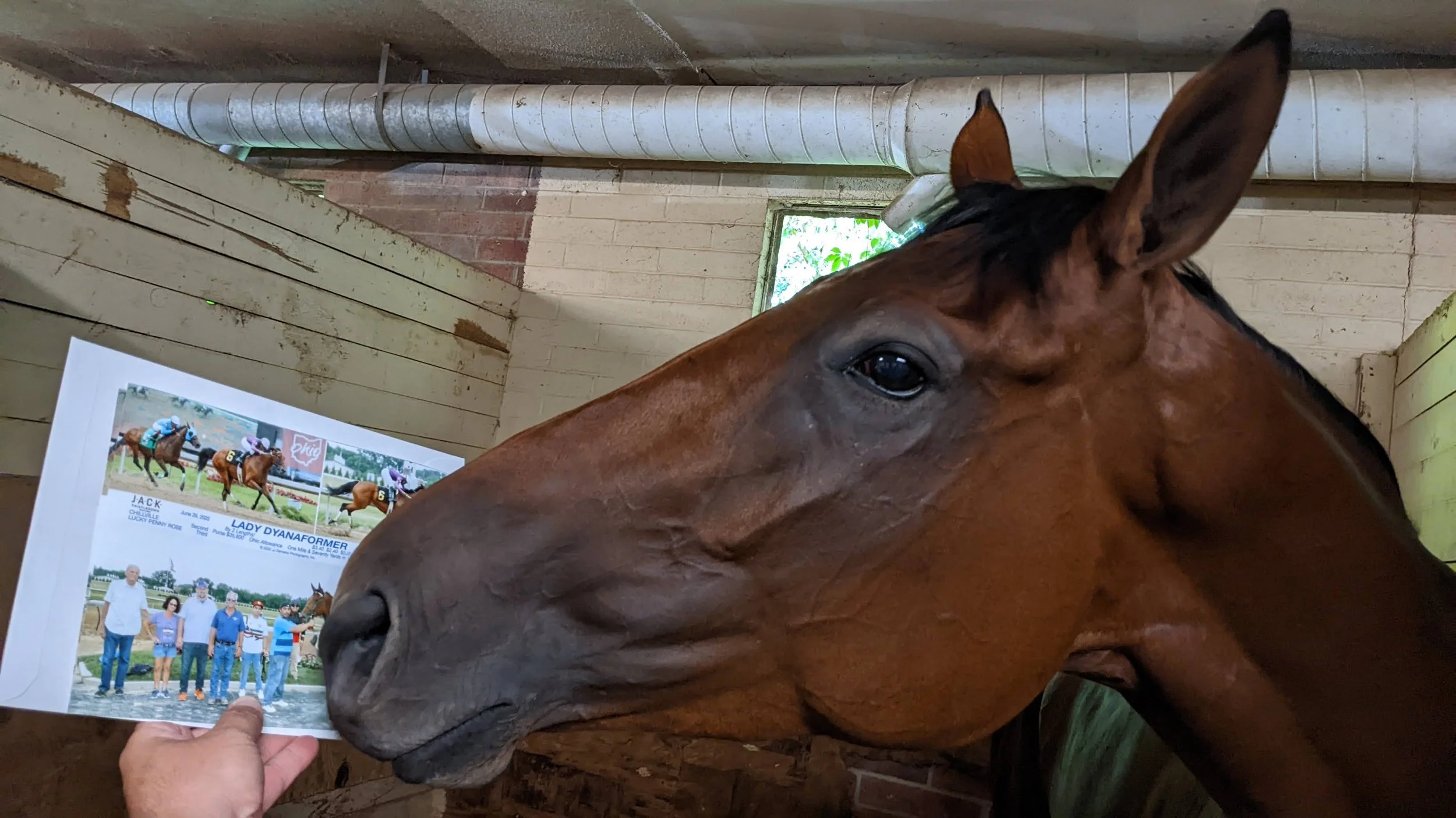 When Did Horse Racing Stop Being Allowed to Be a Hobby?