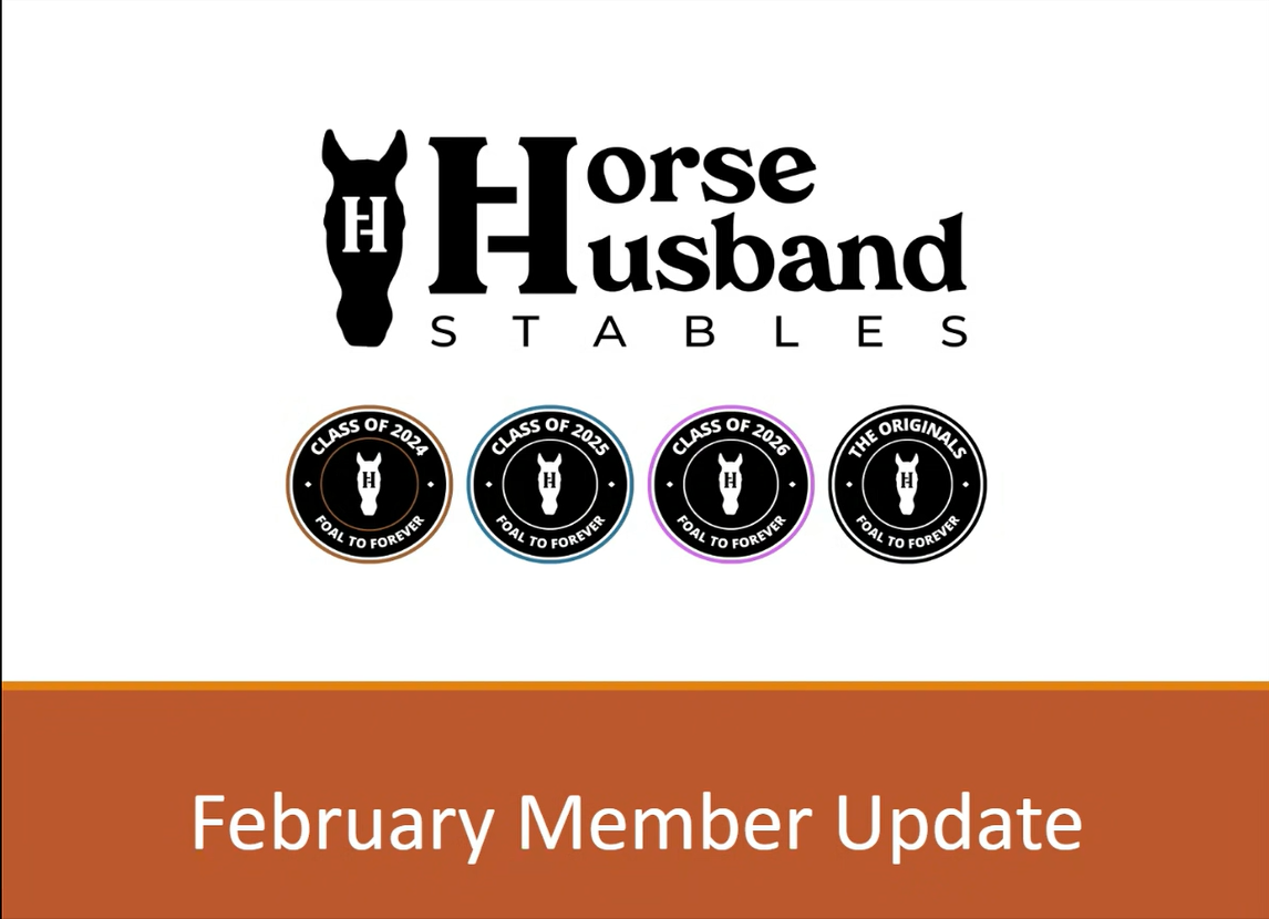 February 2026  Foal to Forever Live Member Update - Replay and Recap