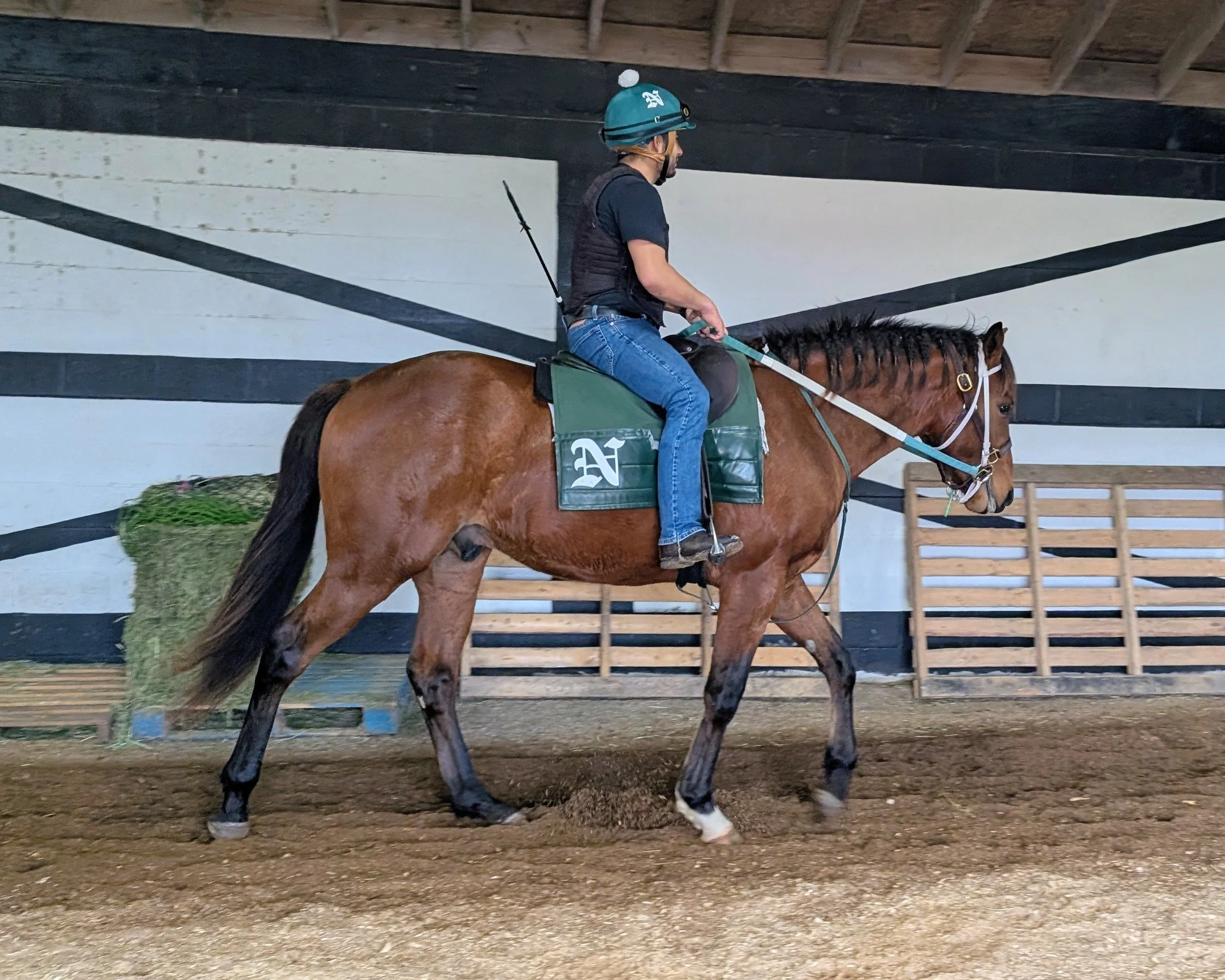 First Rides Outside the Stall