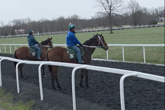 Paycasso and Caesar Take Their First Steps on the Training Track