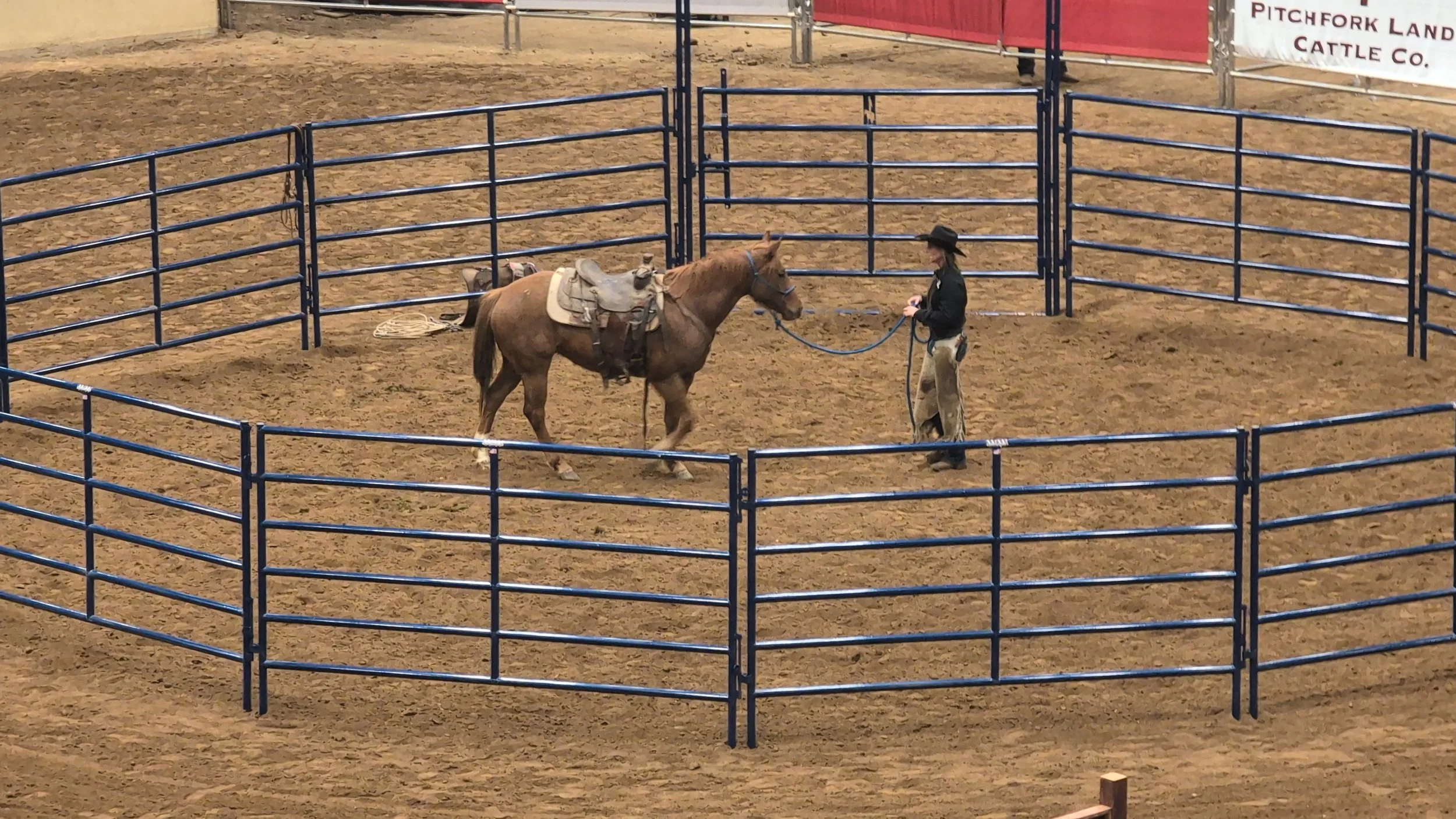 What Road to the Horse Gets Right — And What It Reveals About Horsemanship