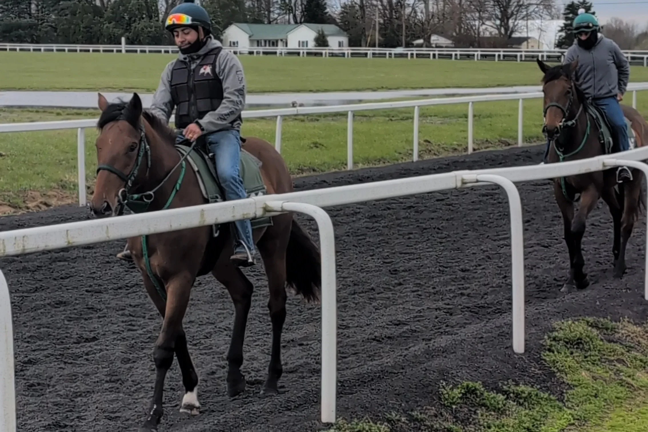 Seeing Them on the Track for the First Time: Paycasso and Caesar’s Training Progress at 5 Weeks