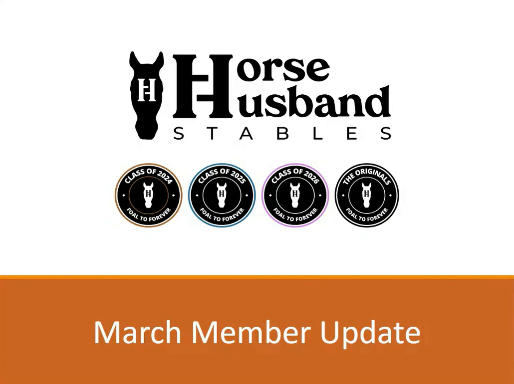 March 2026 Foal to Forever Live Member Update - Replay and Recap